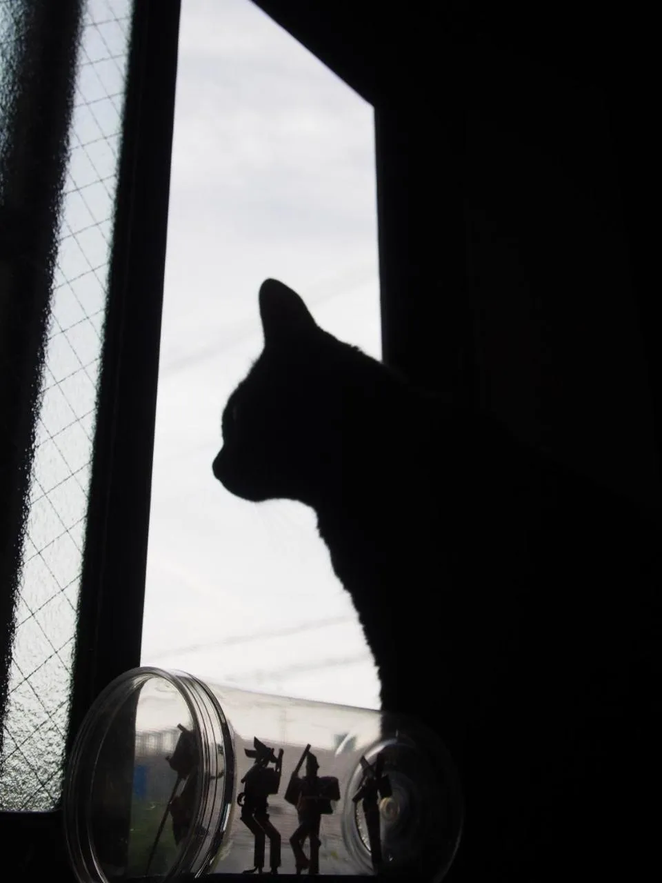 Mad Cat Hostel Osaka & Bar