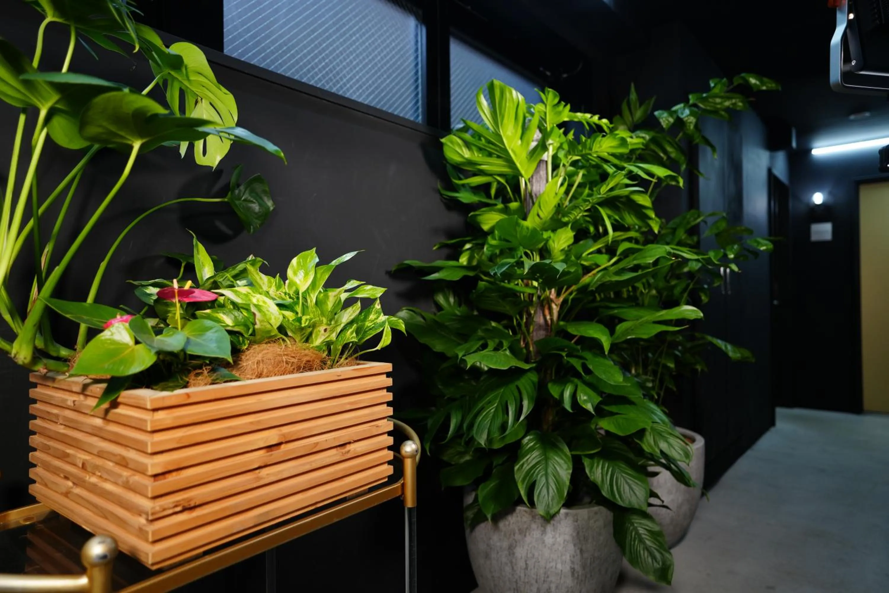 Facade/entrance in THE ROOT2 HOTEL