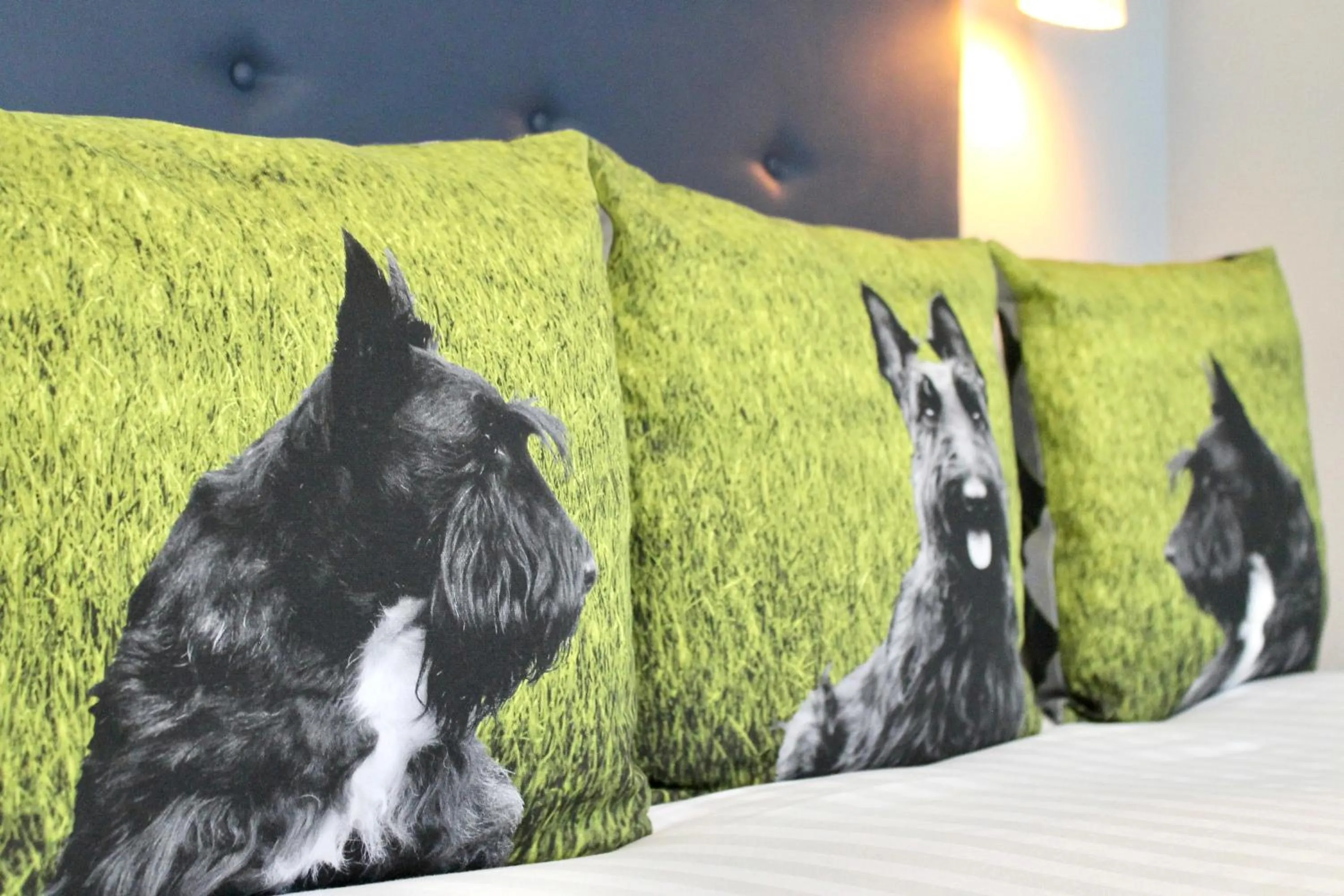Pets in Residences at The Gyle - London