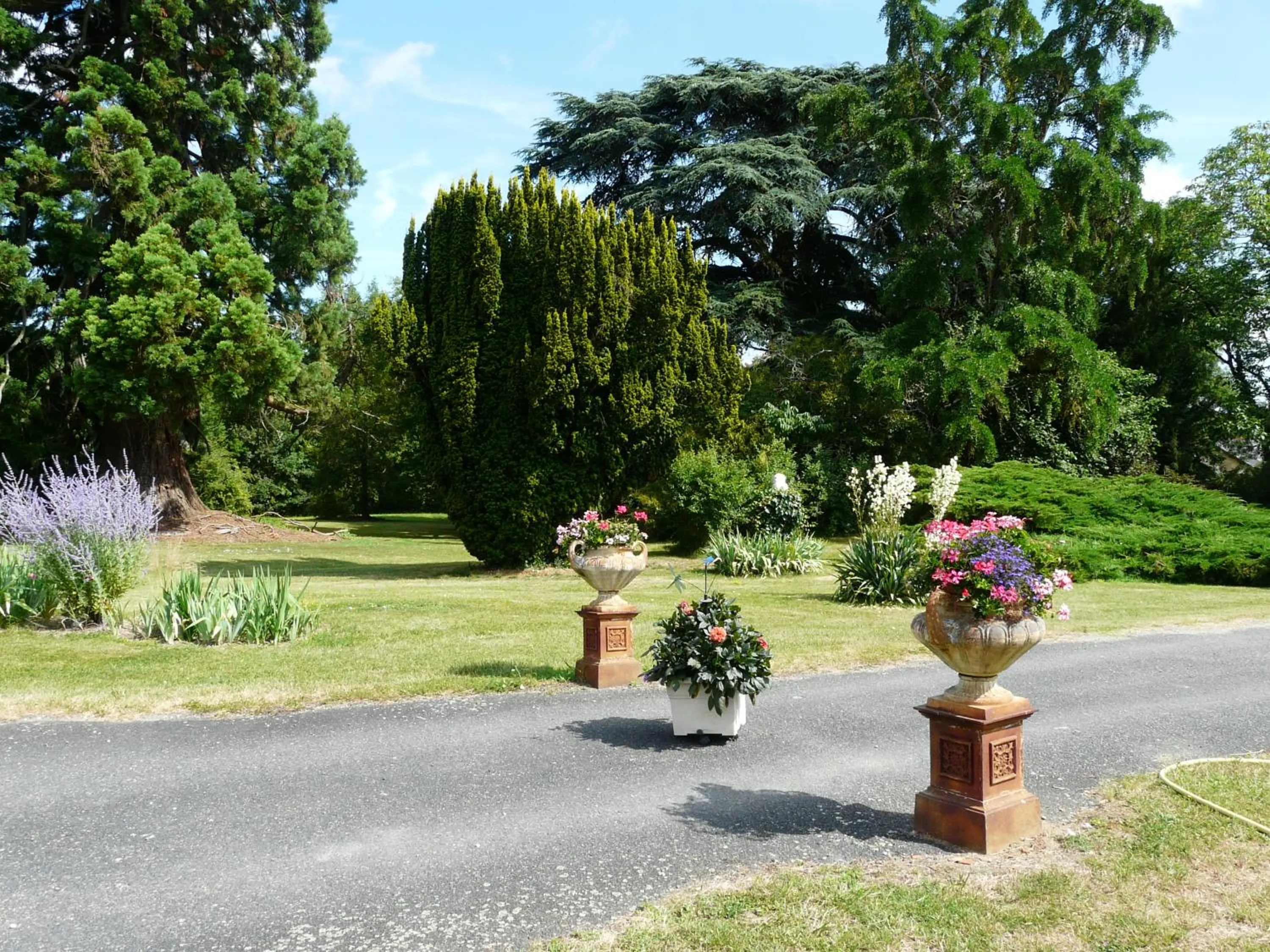 Garden in Château de Piolant