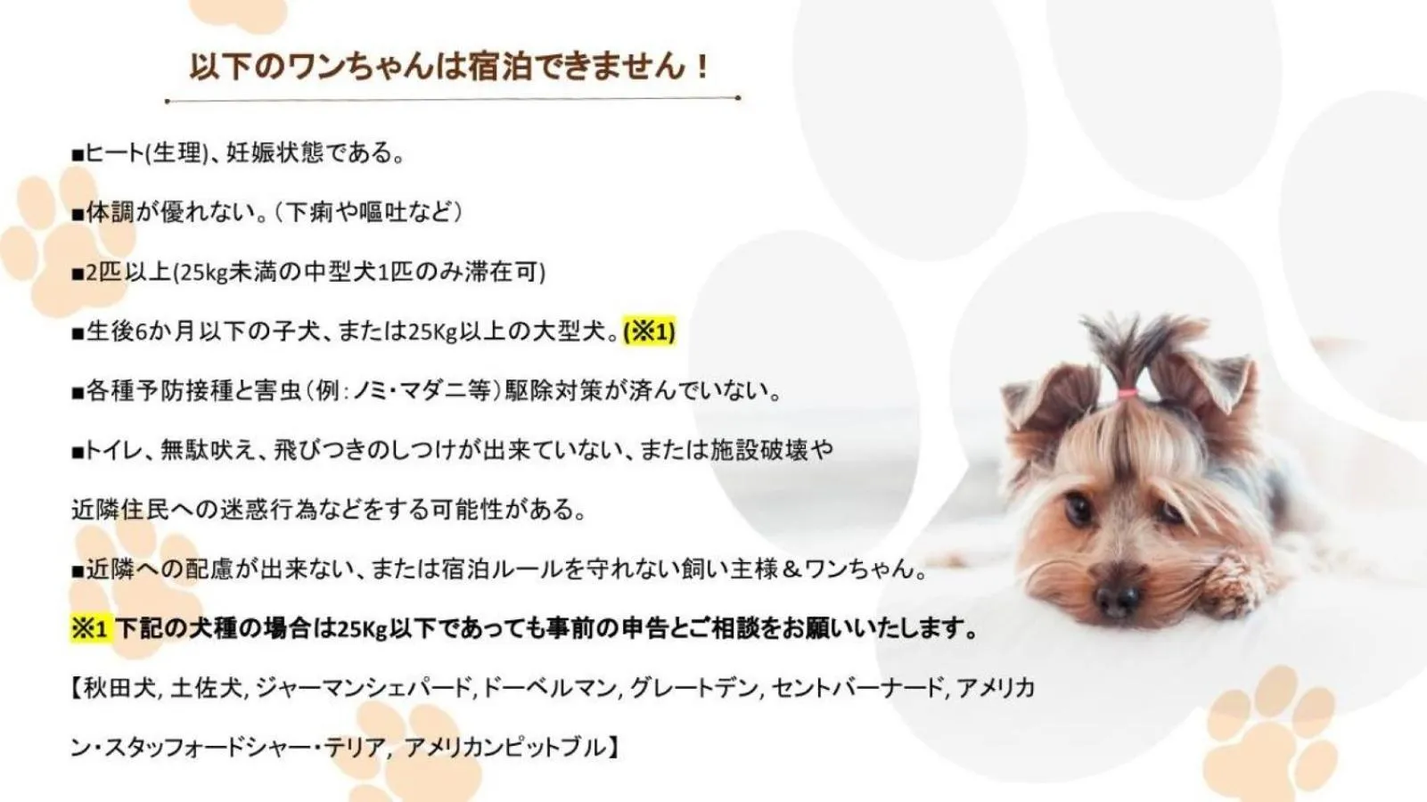 pet friendly in The road to Mt.Fuji