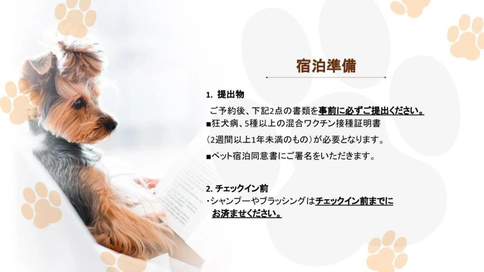 pet friendly in The road to Mt.Fuji