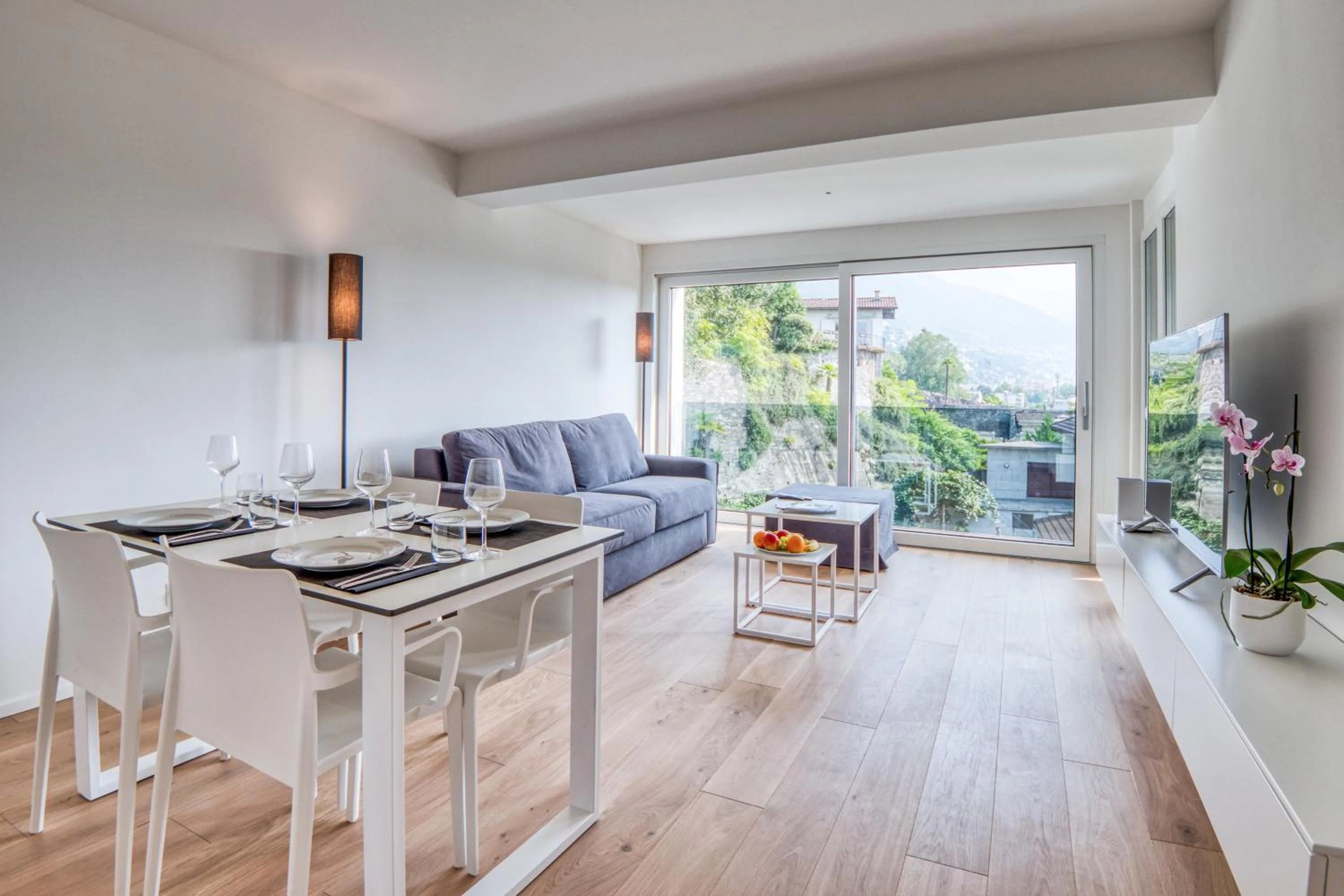 TV and multimedia in Sasso Boretto, Luxury Holiday Apartments