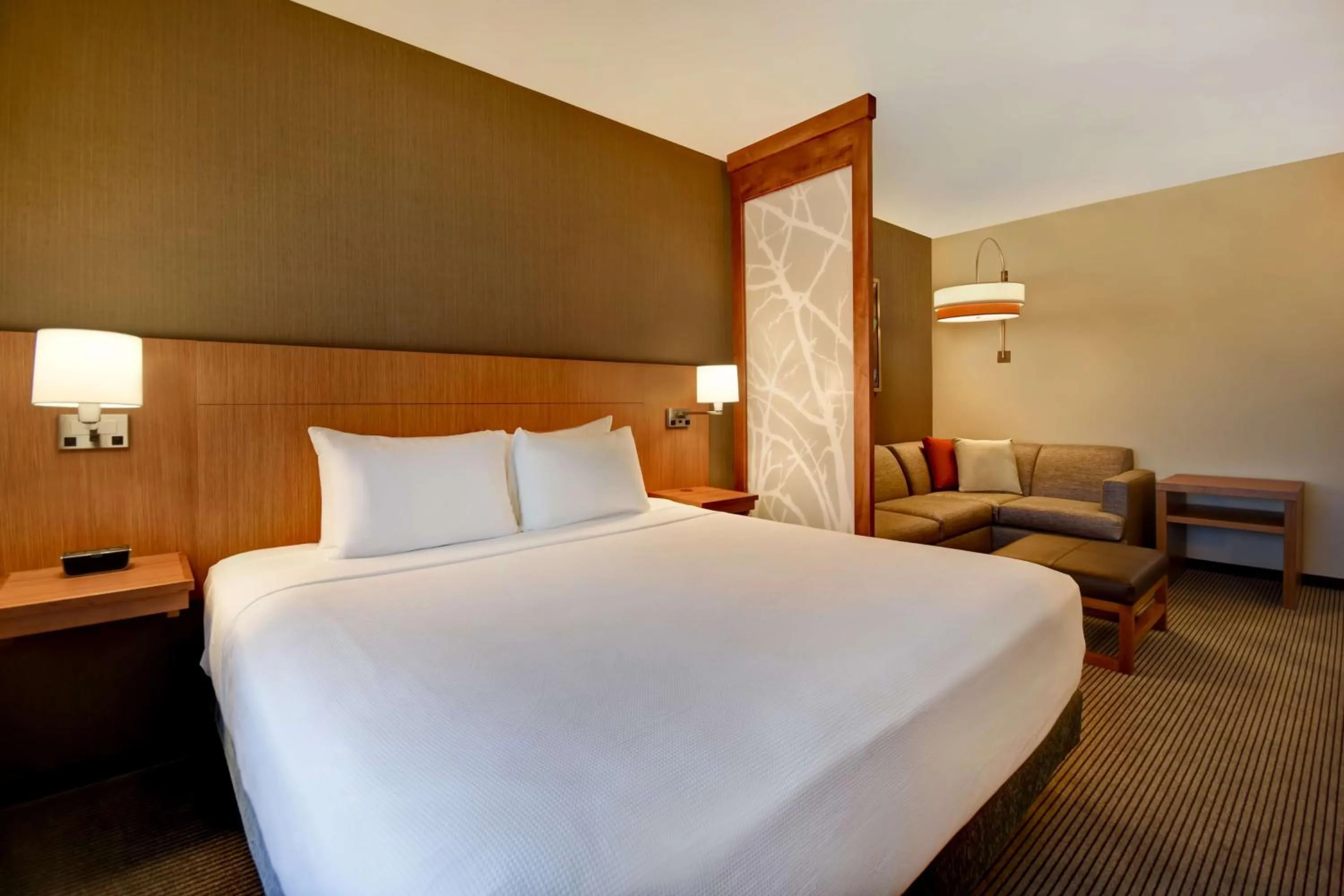 Photo of the whole room, Bed in Hyatt Place Huntsville - Research Park - Redstone