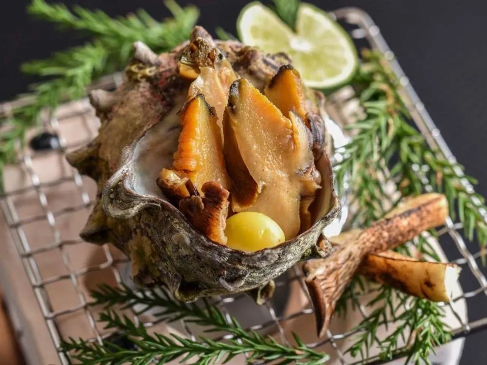 Pet & Spa Hotel Izukogen