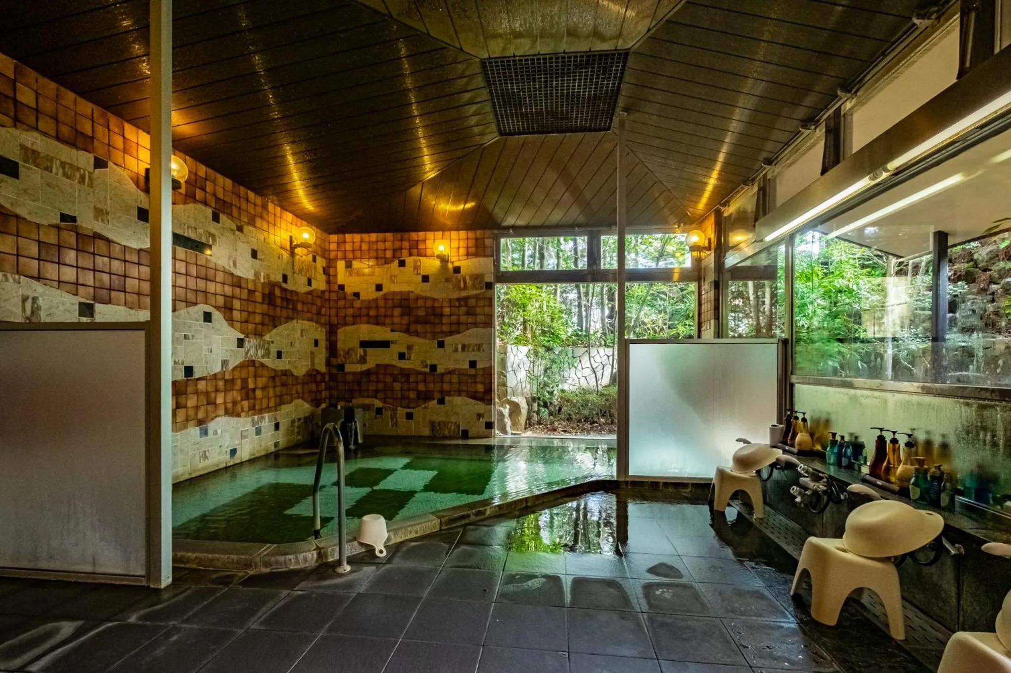 Spa and wellness centre/facilities in Pet & Spa Hotel Izukogen