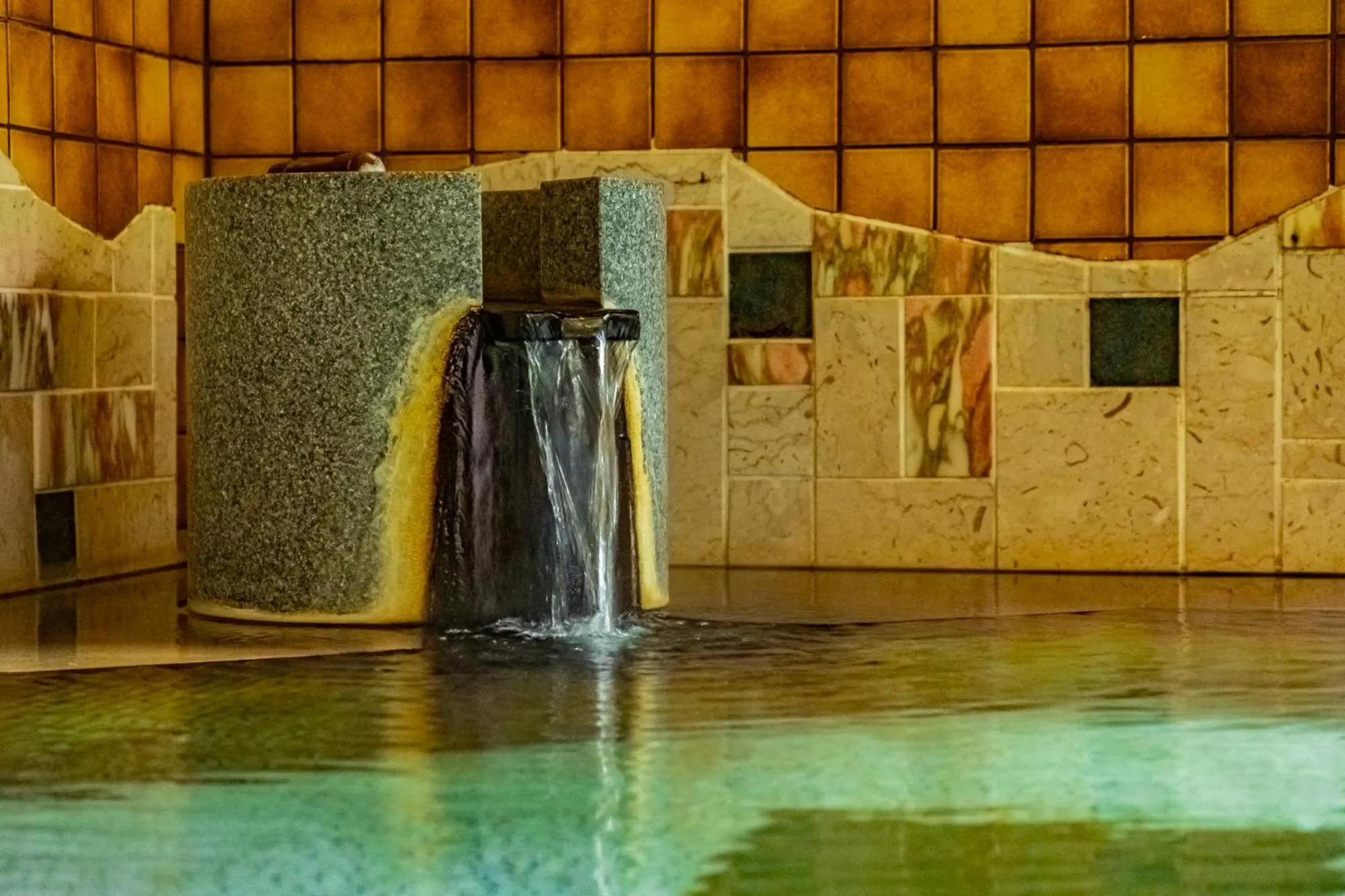 Spa and wellness centre/facilities in Pet & Spa Hotel Izukogen