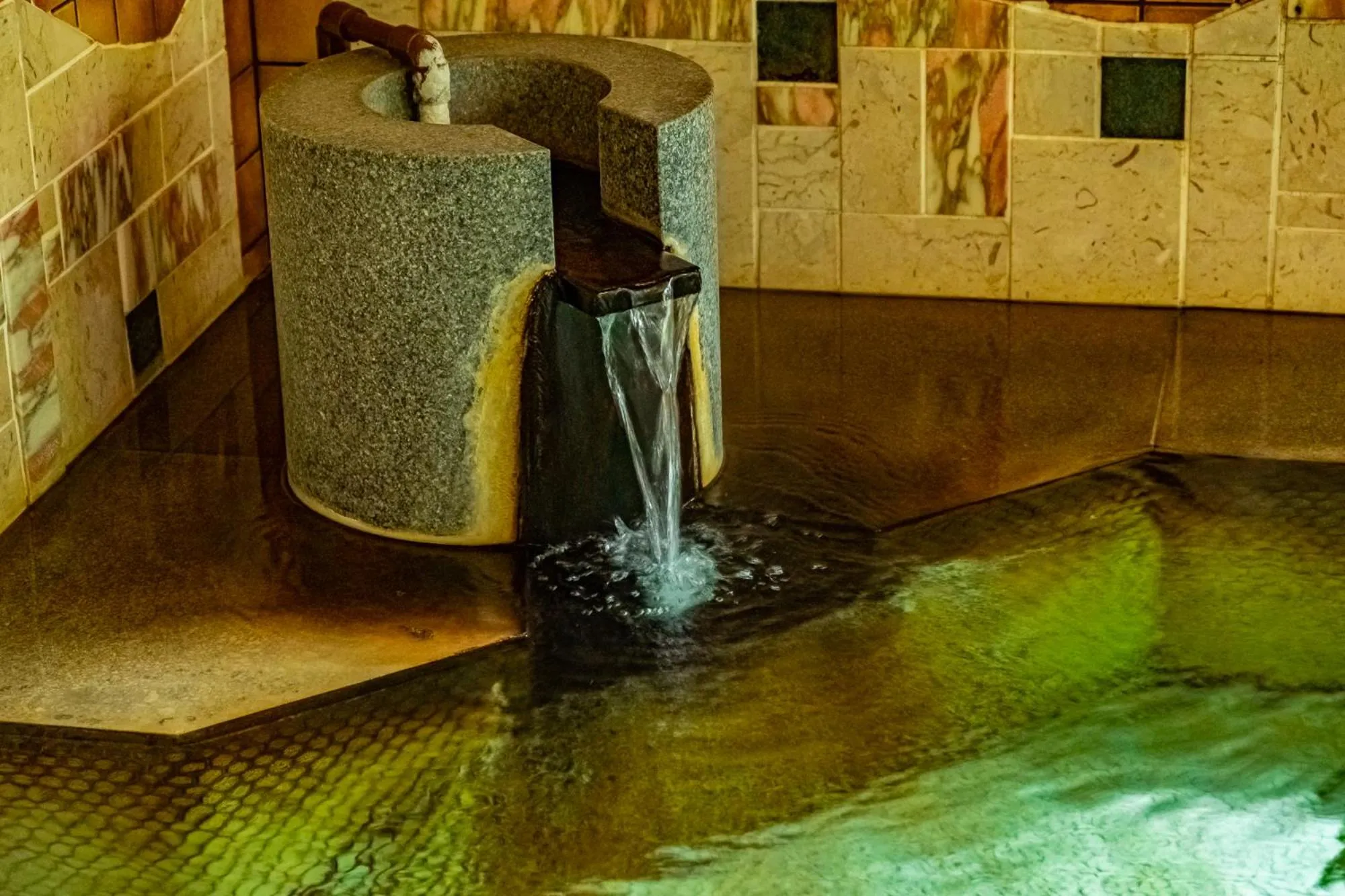 Spa and wellness centre/facilities in Pet & Spa Hotel Izukogen