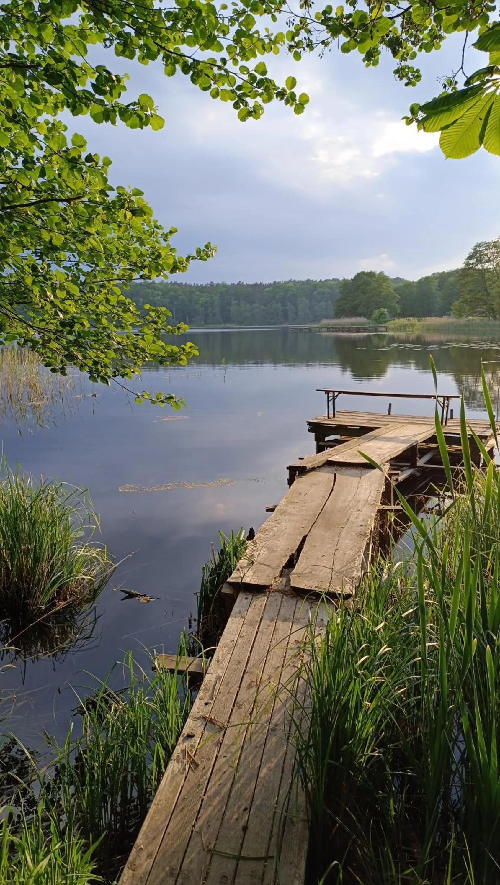Szary domek nad jeziorem