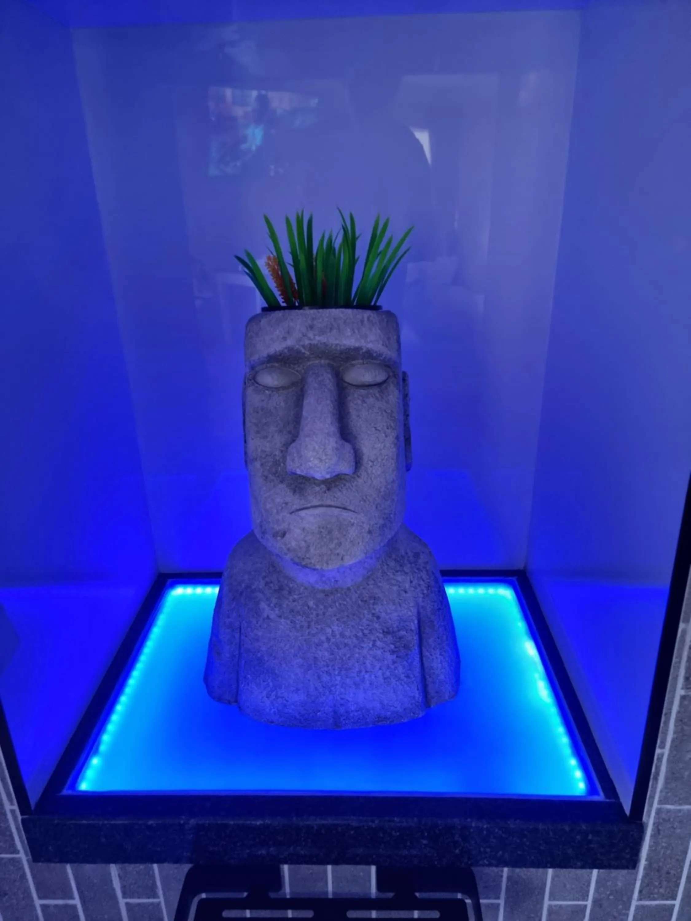 Bath in Weston Guest House Krugersdorp