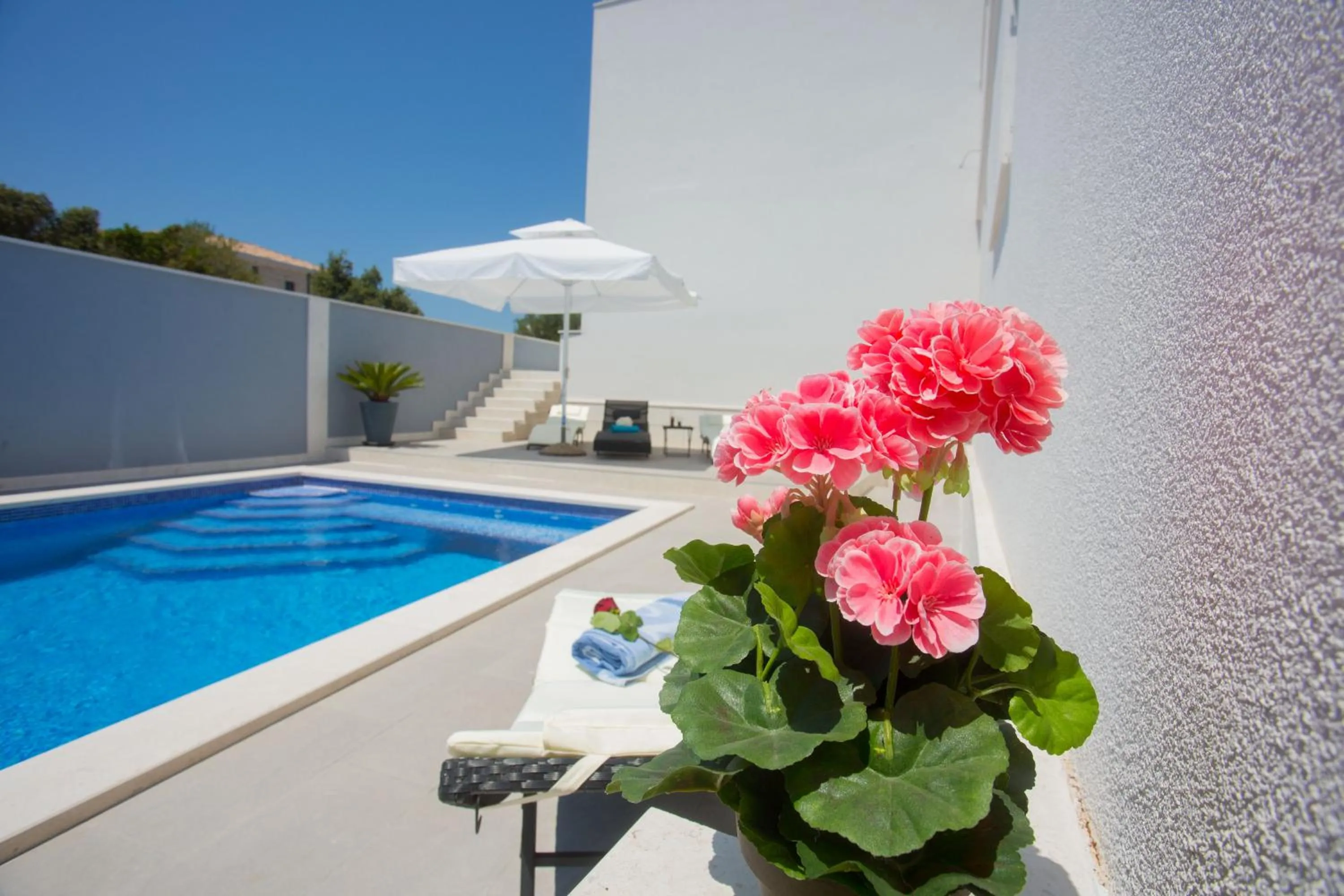 Summer in Hotel Paradise Punta