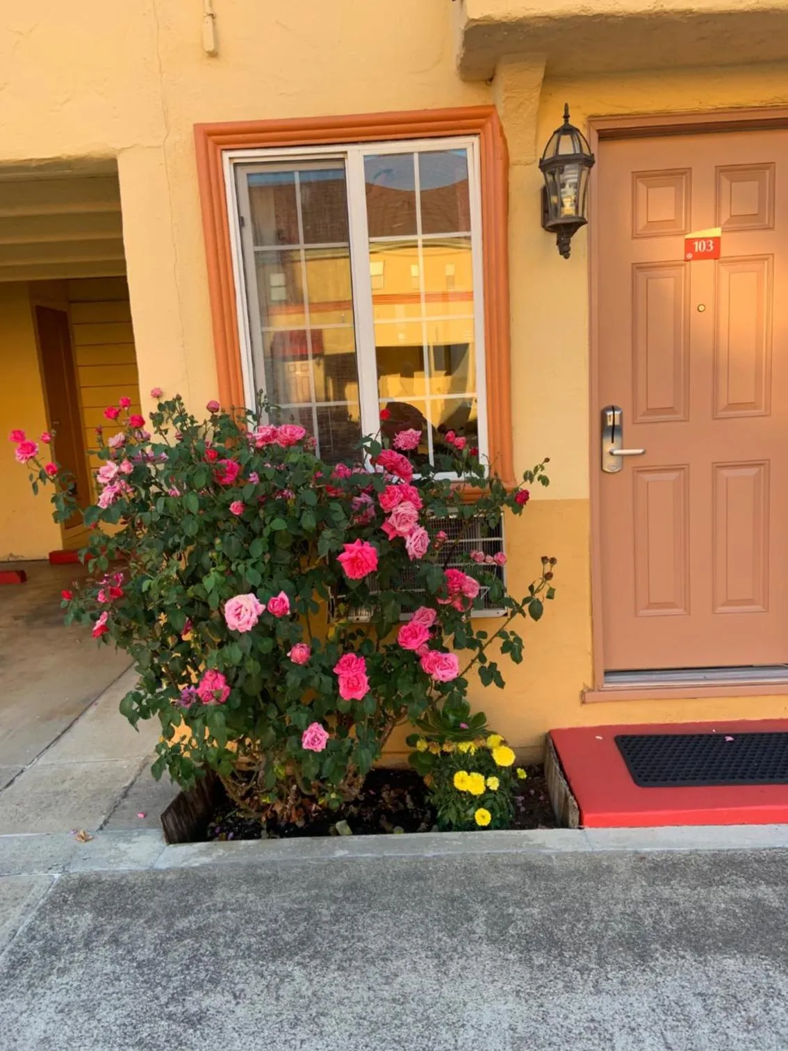 Property building in Budget Motel