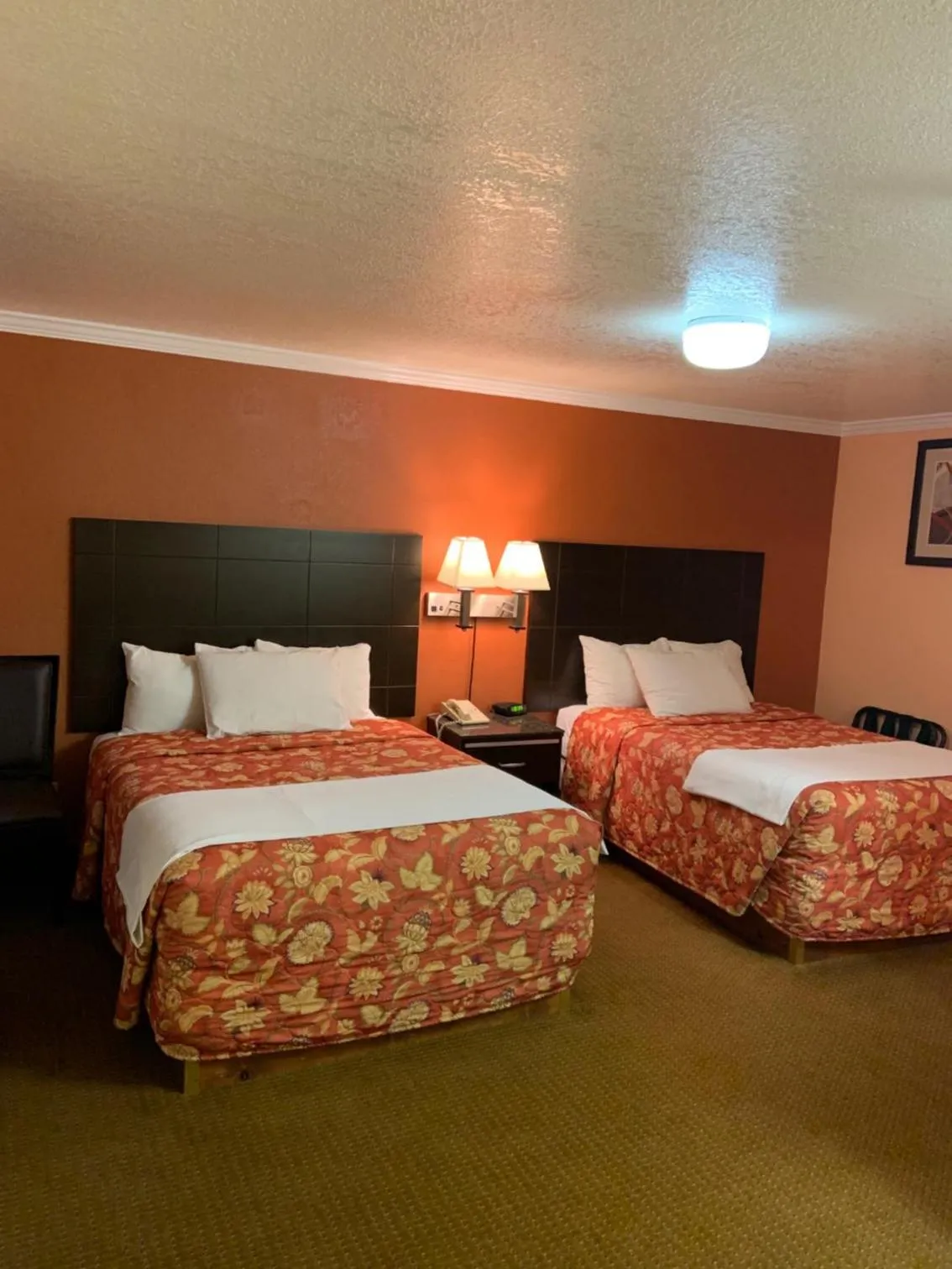 Photo of the whole room, Bed in Budget Motel