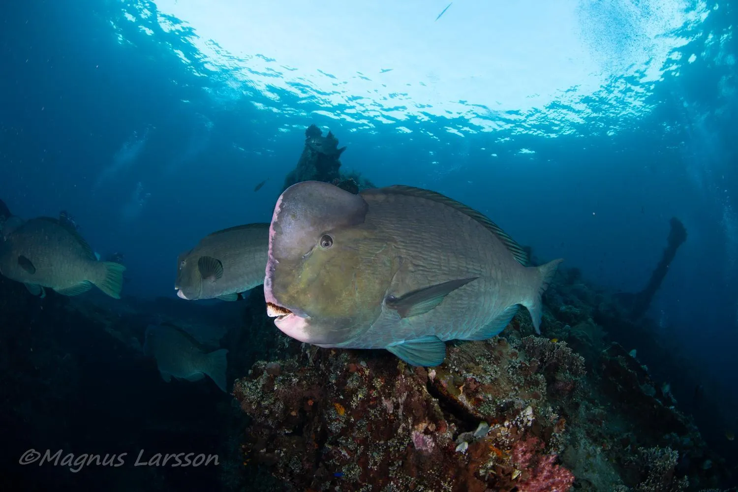 Nearby landmark in Bali Dive Resort Amed