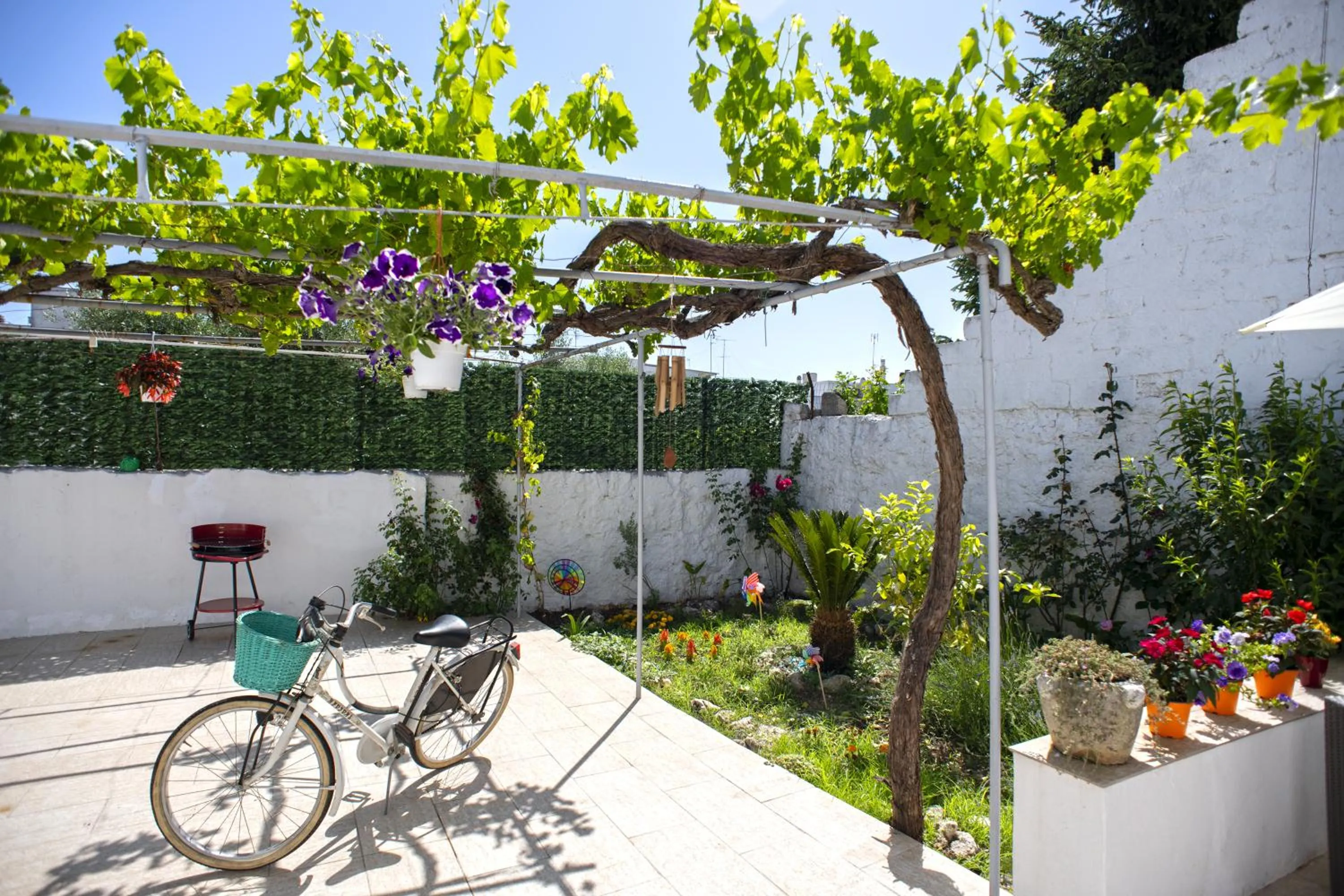 Garden in Il Segnalibro B&B