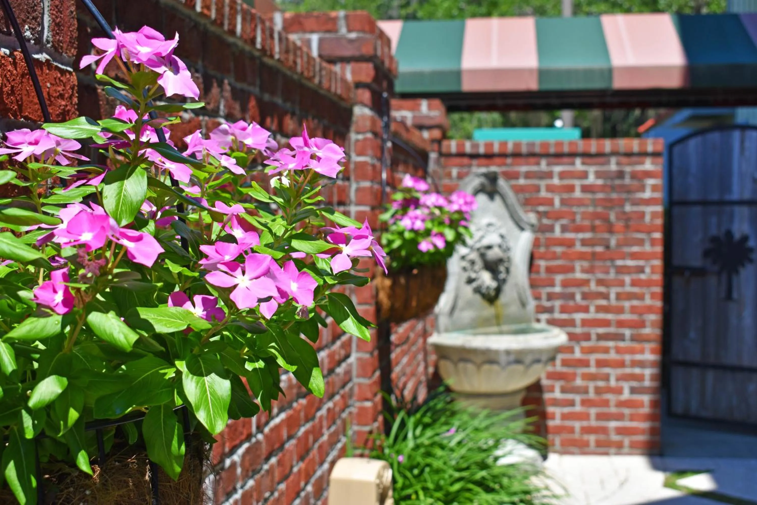 Balcony/Terrace in The Inlet Sports Lodge