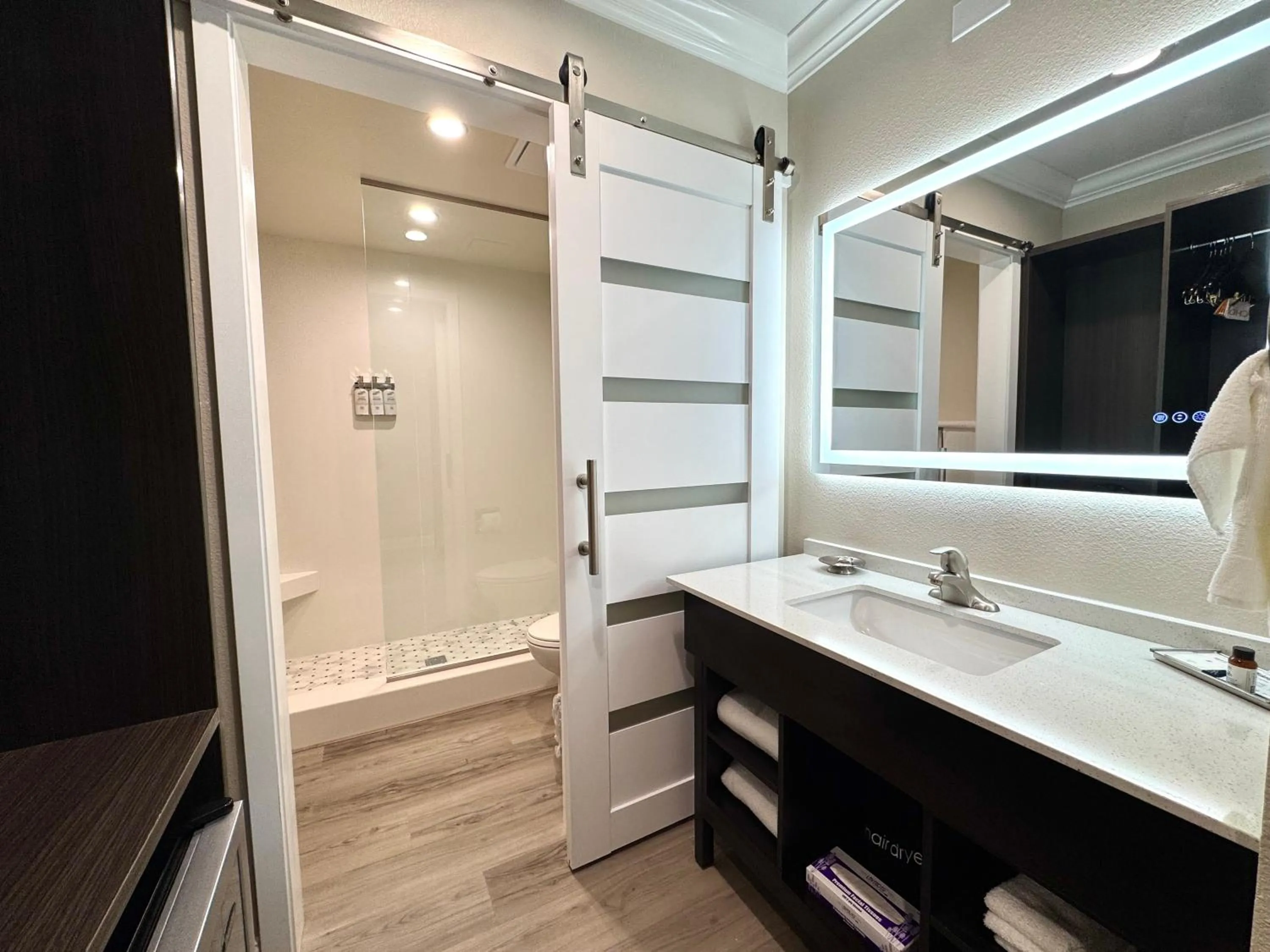 Bathroom in Econo Lodge Lake Elsinore Casino