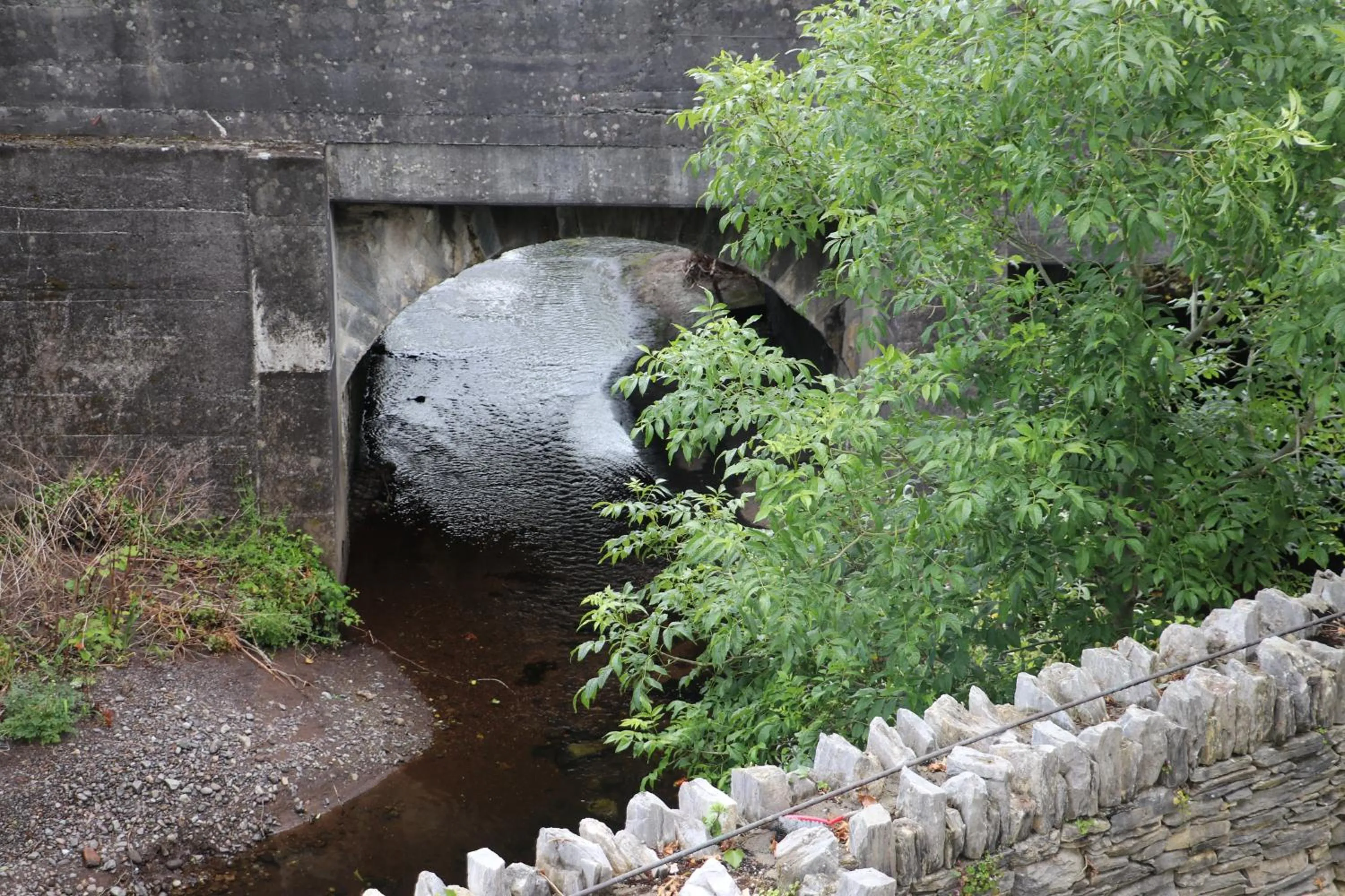 Garden view in Bridge Street Townhouse