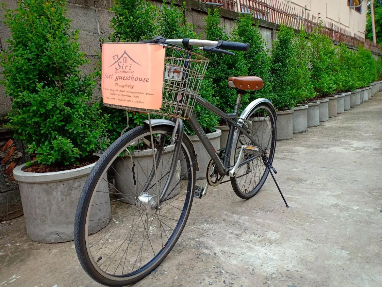 Cycling in Siri Guesthouse