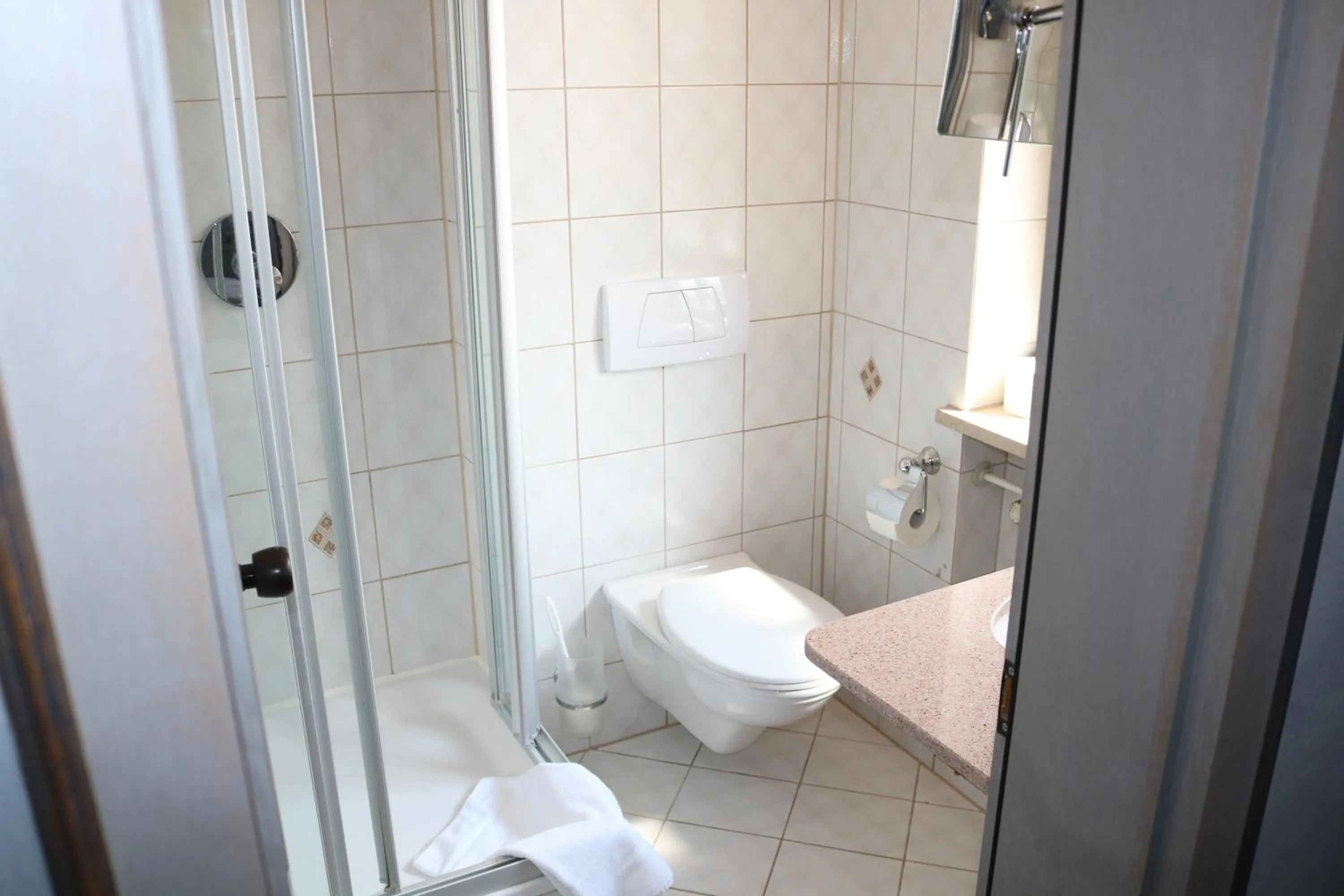 Toilet in Seehotel Pegasus