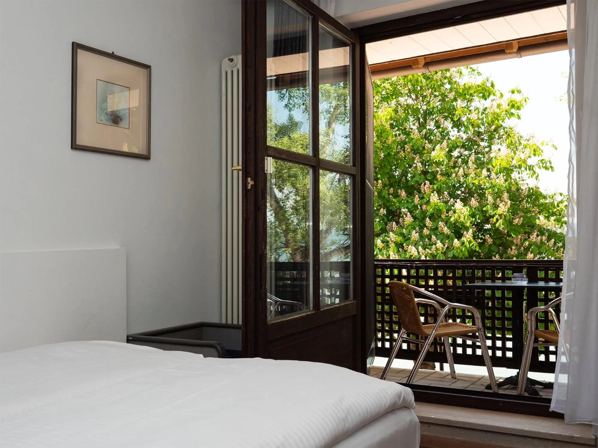 Balcony/Terrace in Seehotel Pegasus