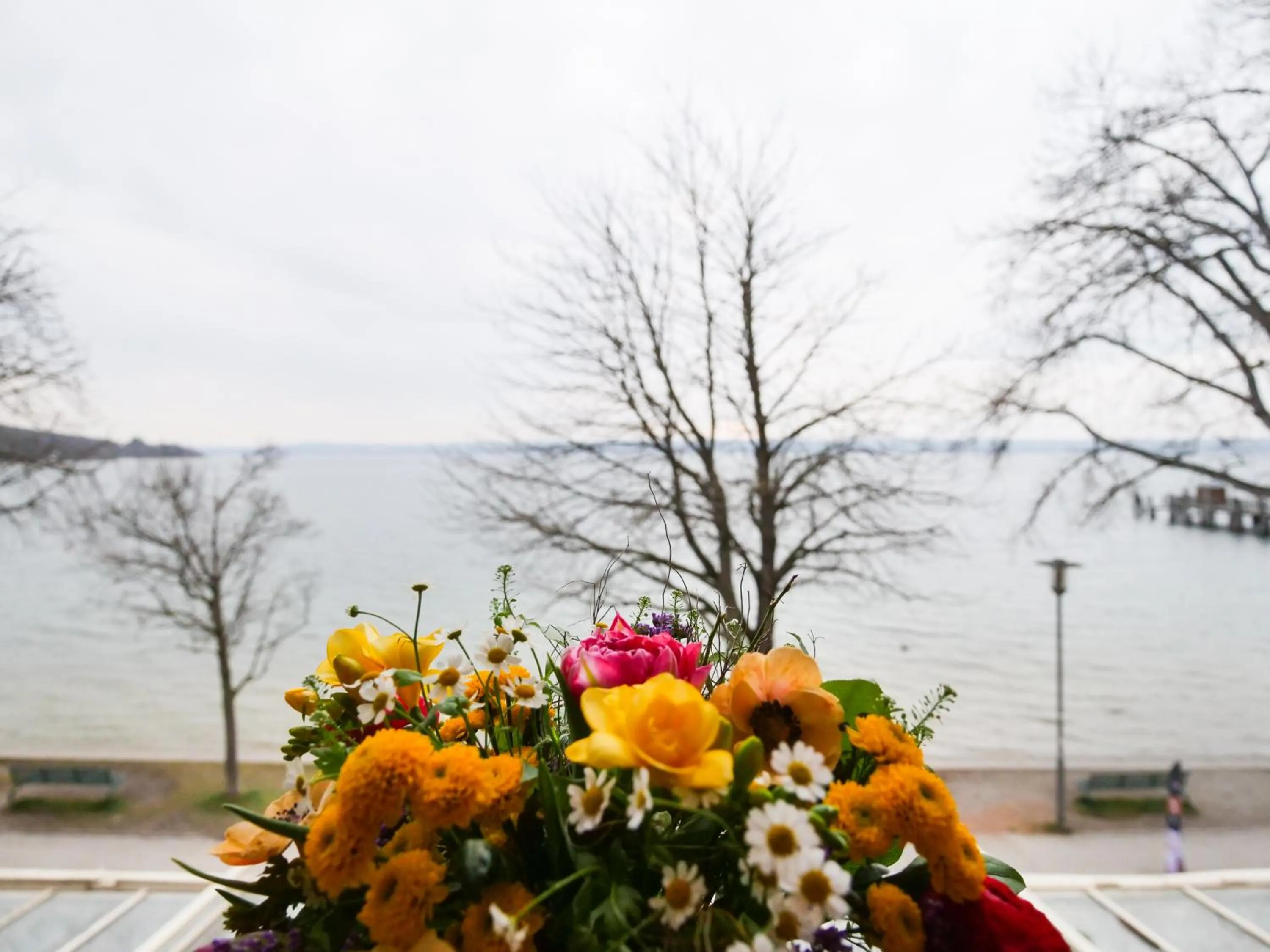 Lake view in Seehotel Pegasus