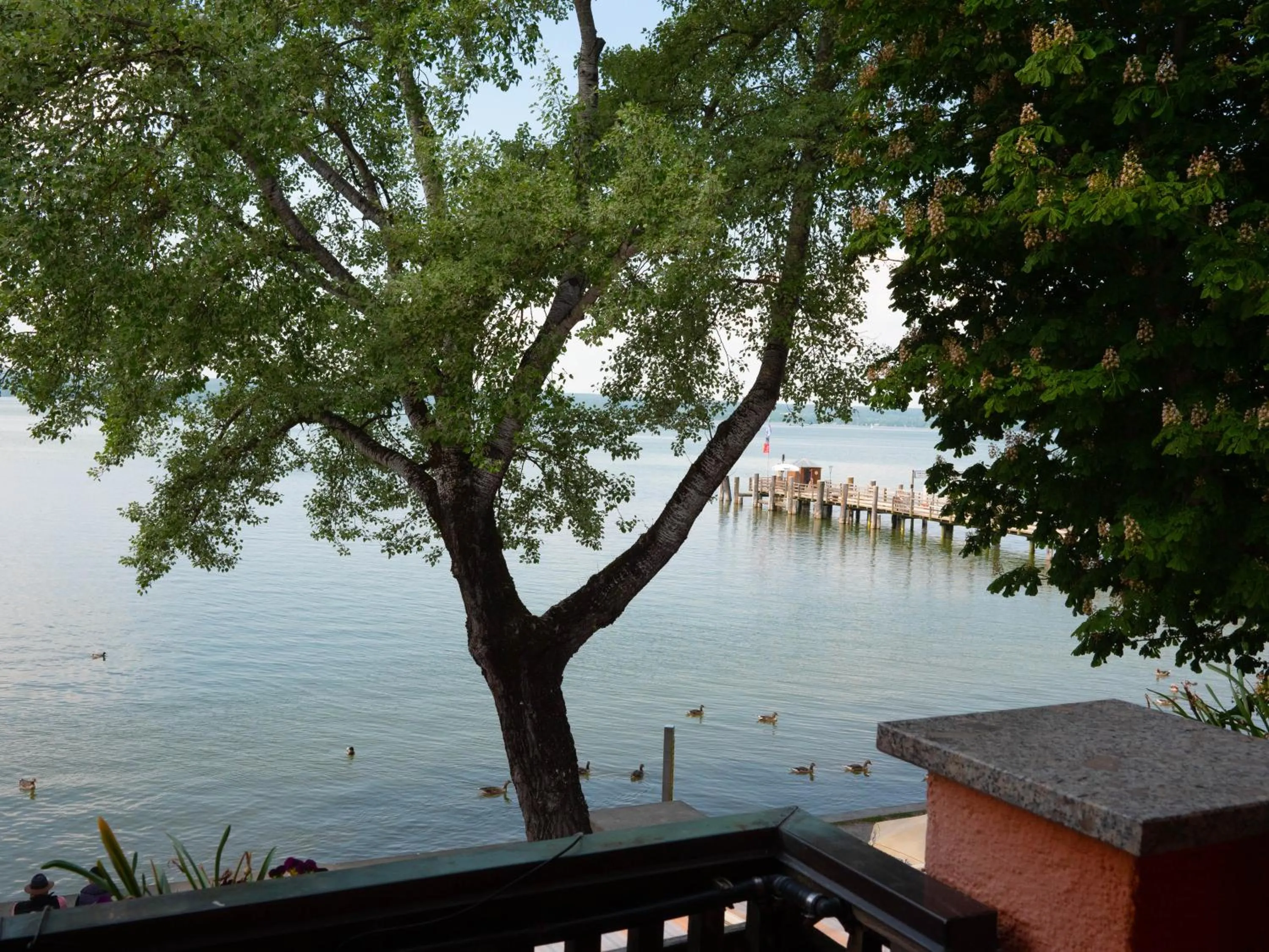 Balcony/Terrace in Seehotel Pegasus