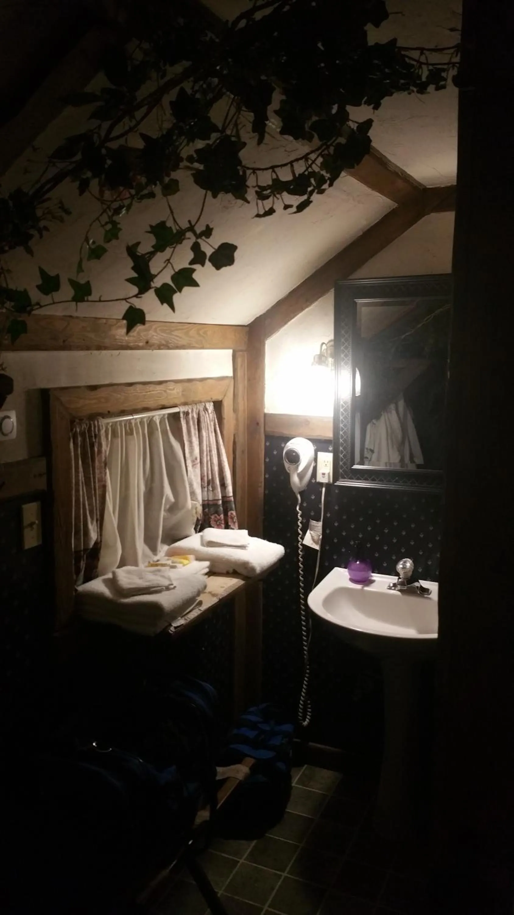 Bathroom, Bed in Castle Wood Theme Cottages- COUPLES ONLY