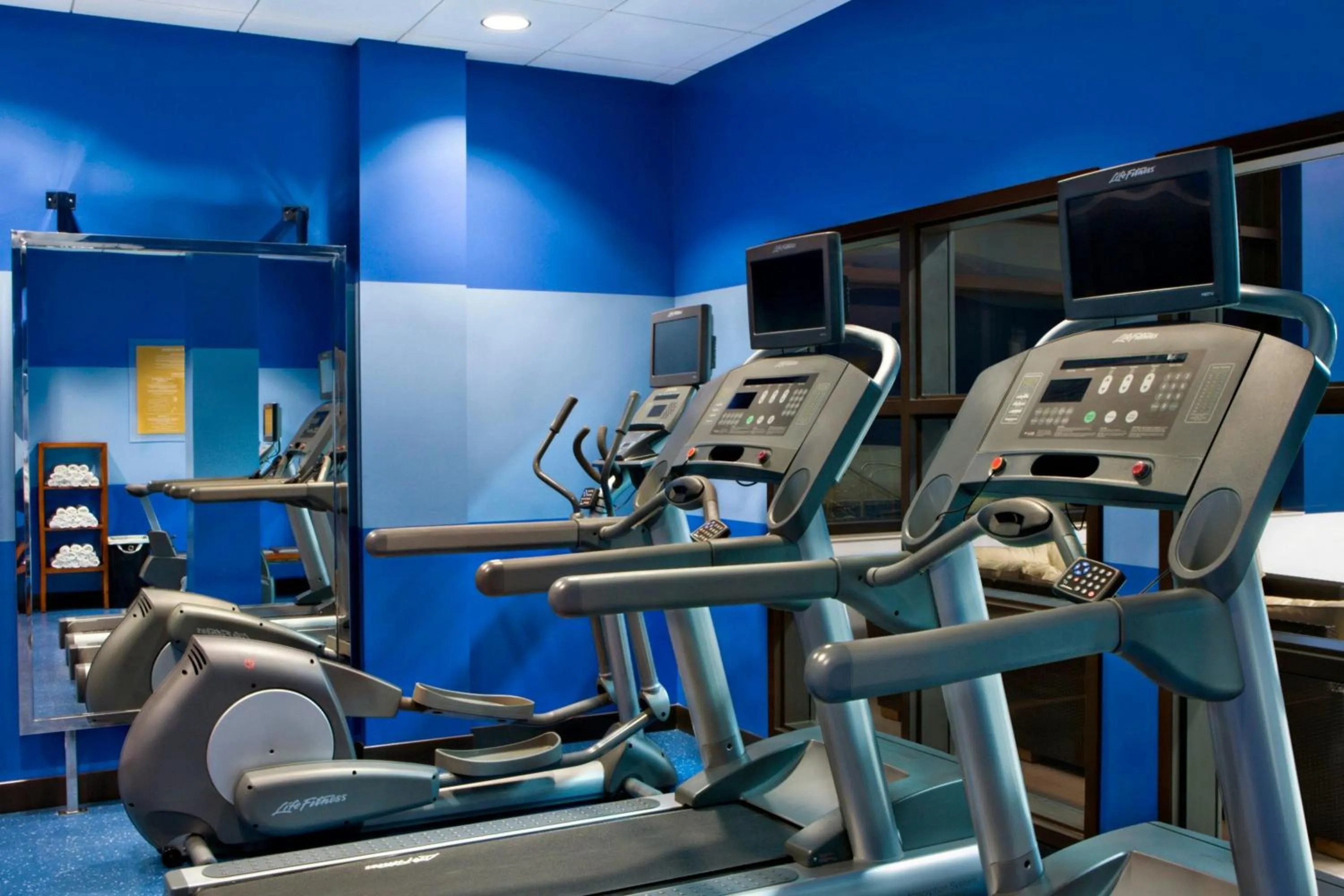 Fitness centre/facilities in Four Points by Sheraton Winnipeg South