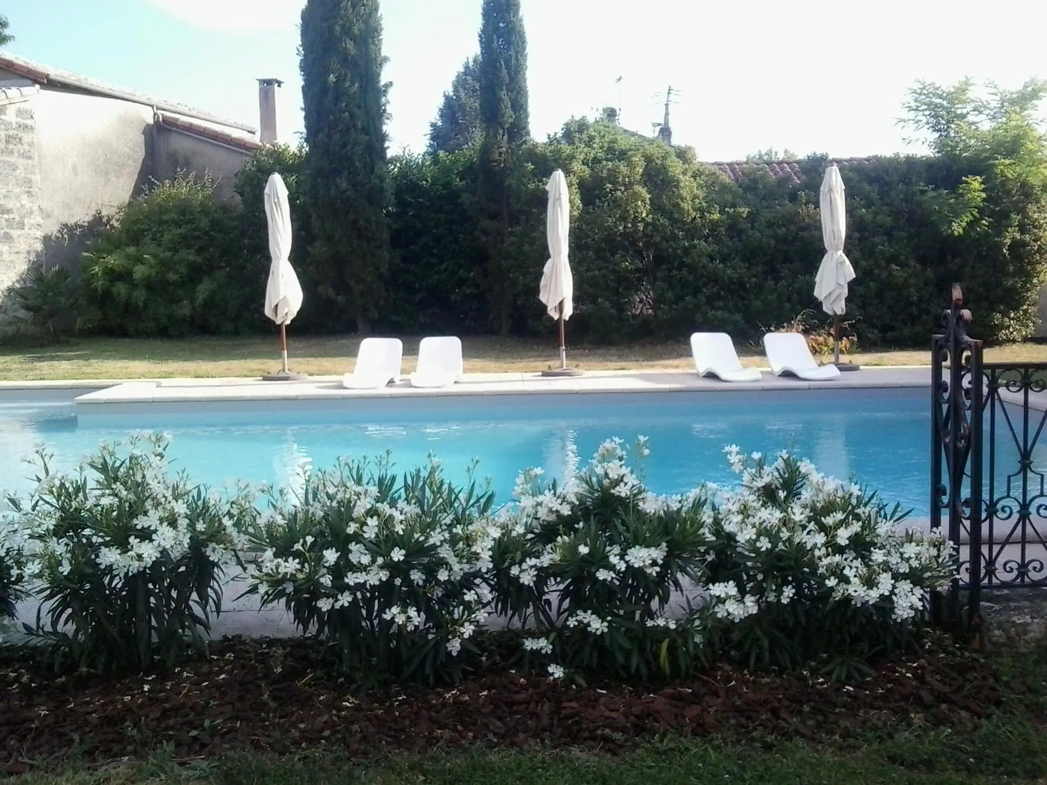 Swimming pool in Château de Cauderoue