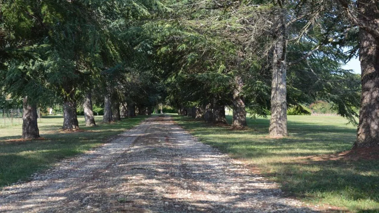 Garden in Château de Cauderoue