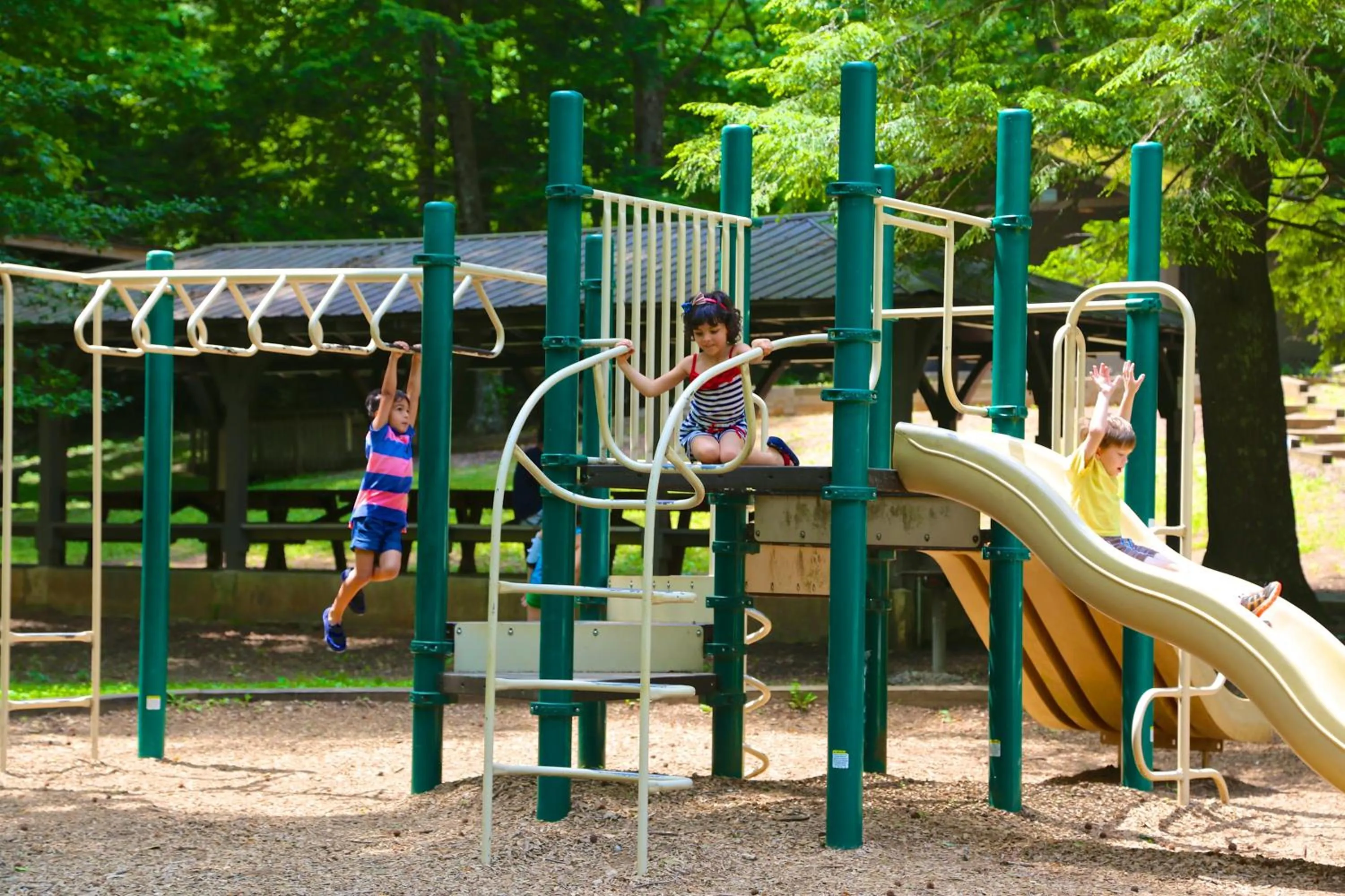 Day in Unicoi State Park & Lodge