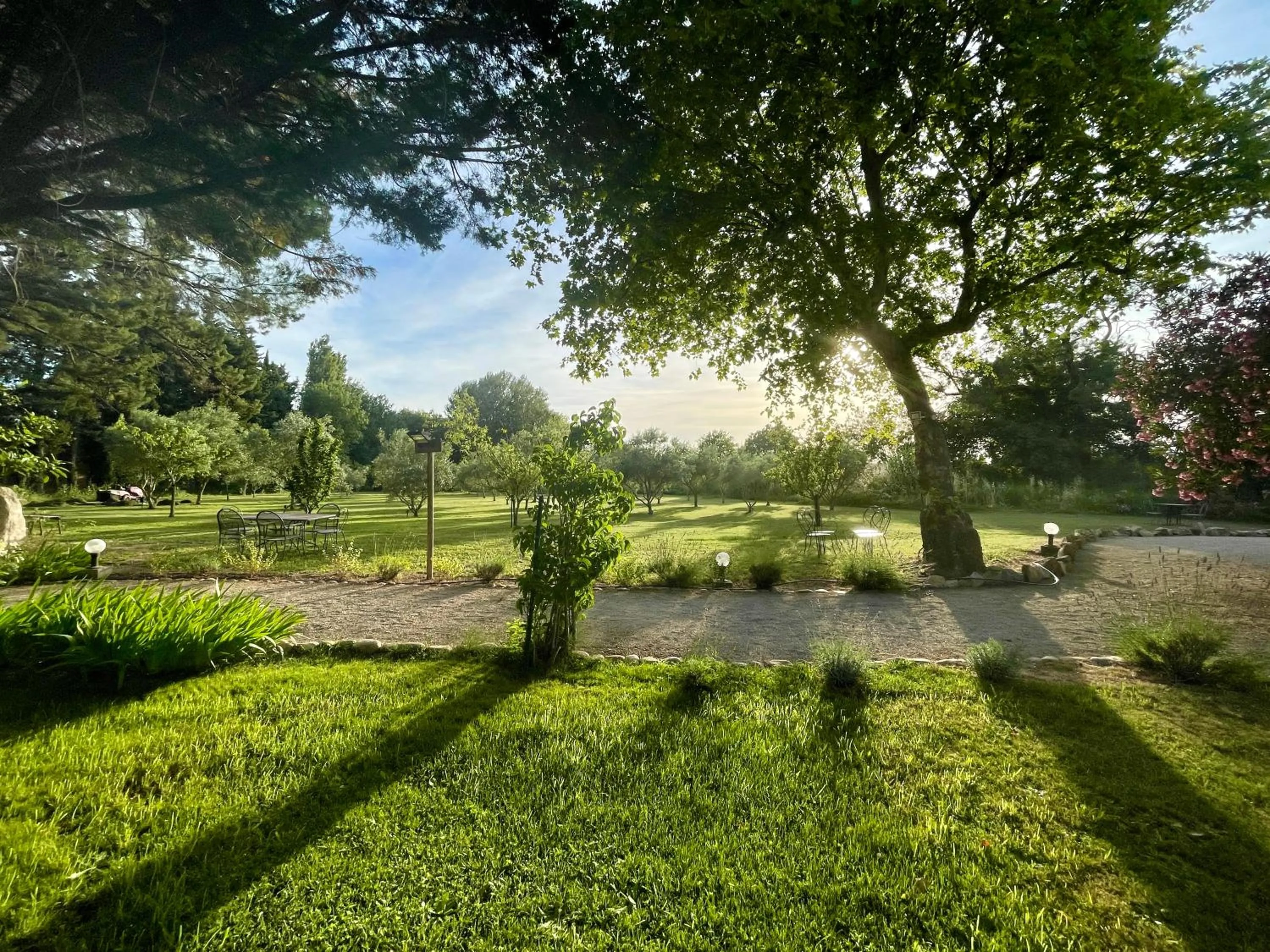 Garden in Domaine Au Coeur des Alpilles