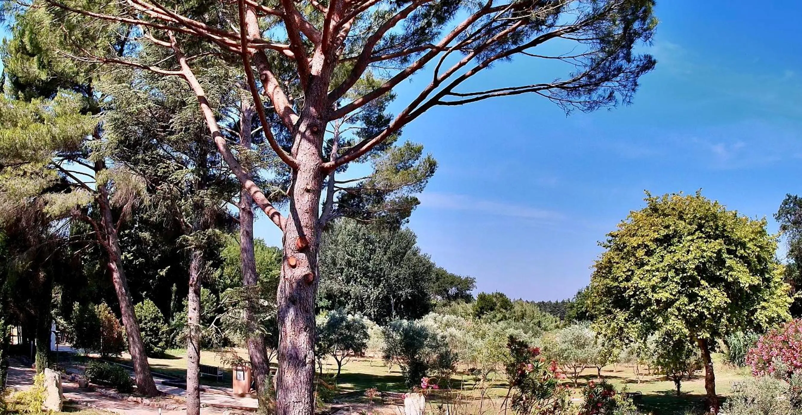 Garden in Domaine Au Coeur des Alpilles