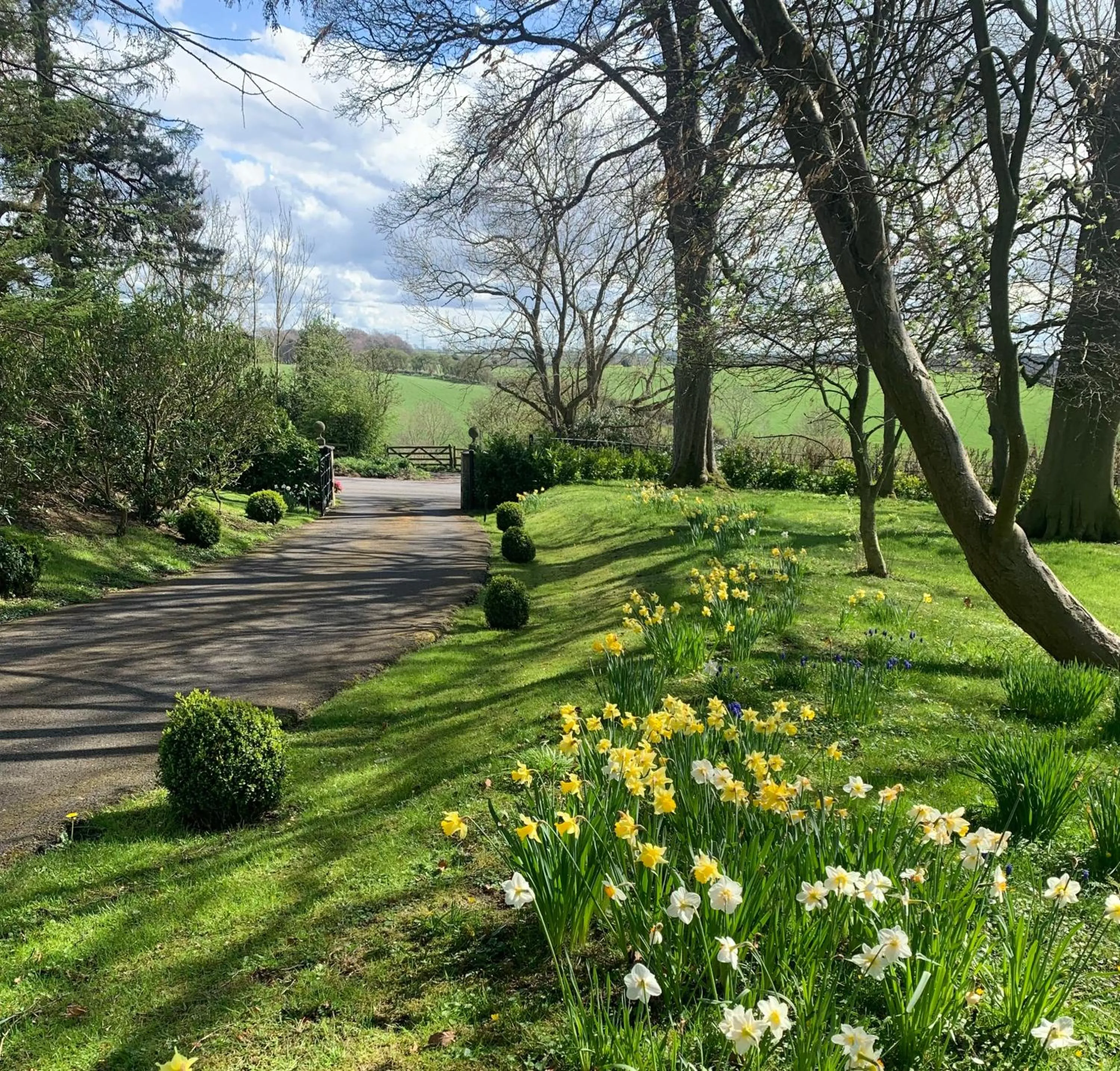 Spring in Dalton House Bed and Breakfast