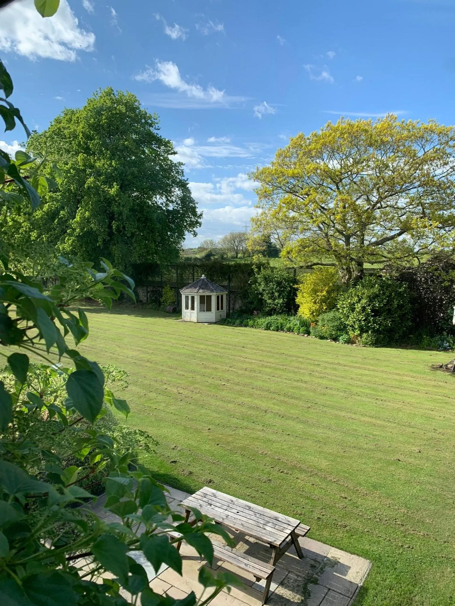 Garden in Dalton House Bed and Breakfast