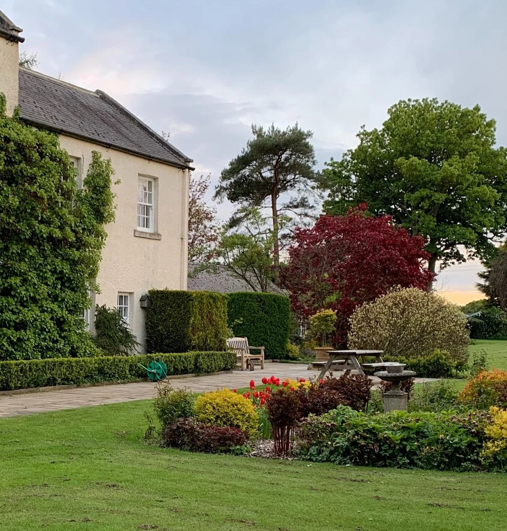 Garden in Dalton House Bed and Breakfast