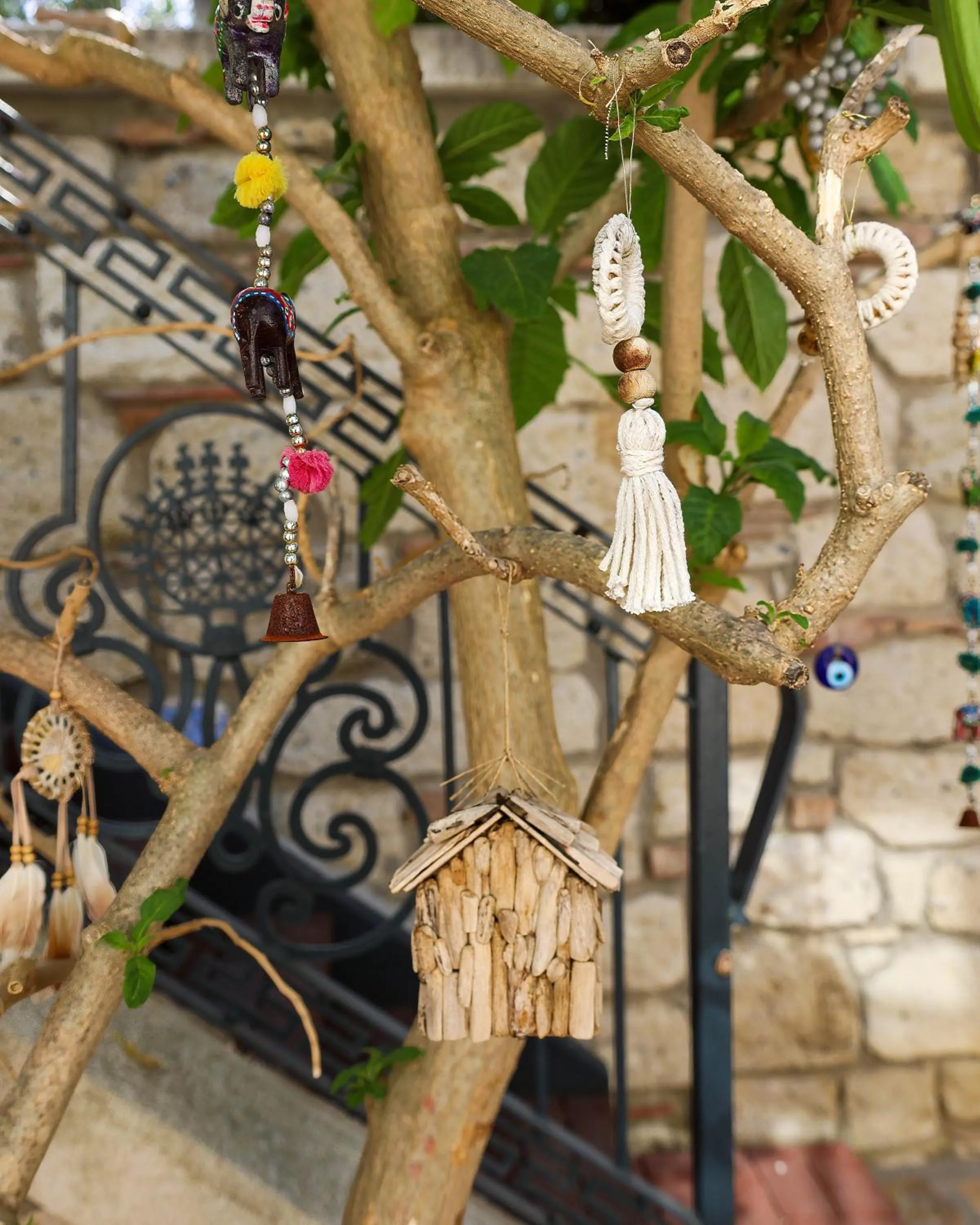 Garden in AlaBora Hotel