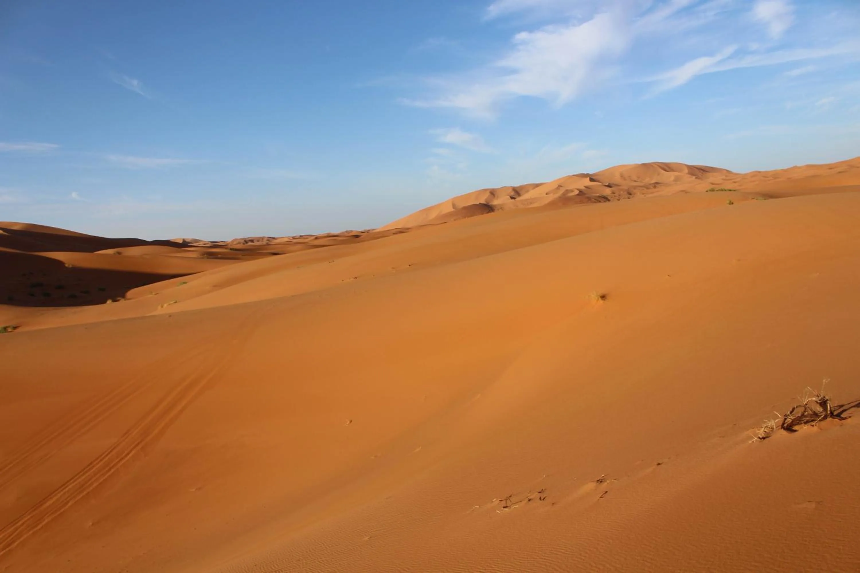Other in Riad Hotel Les Flamants