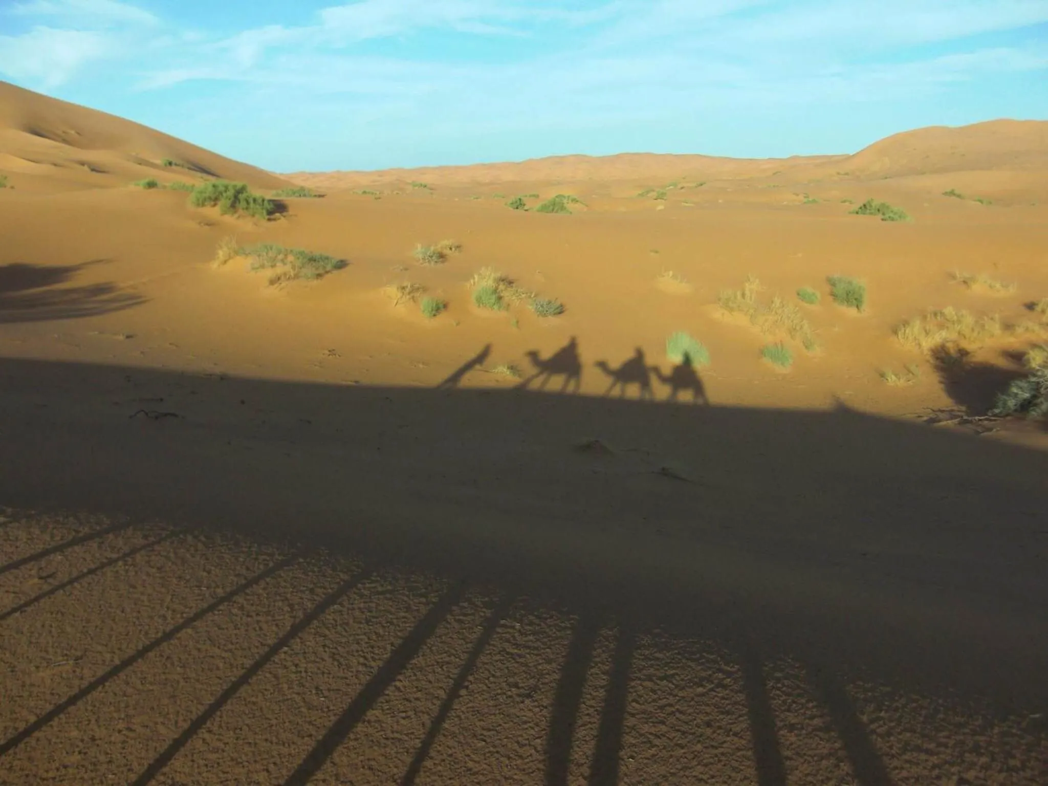 Other in Riad Hotel Les Flamants