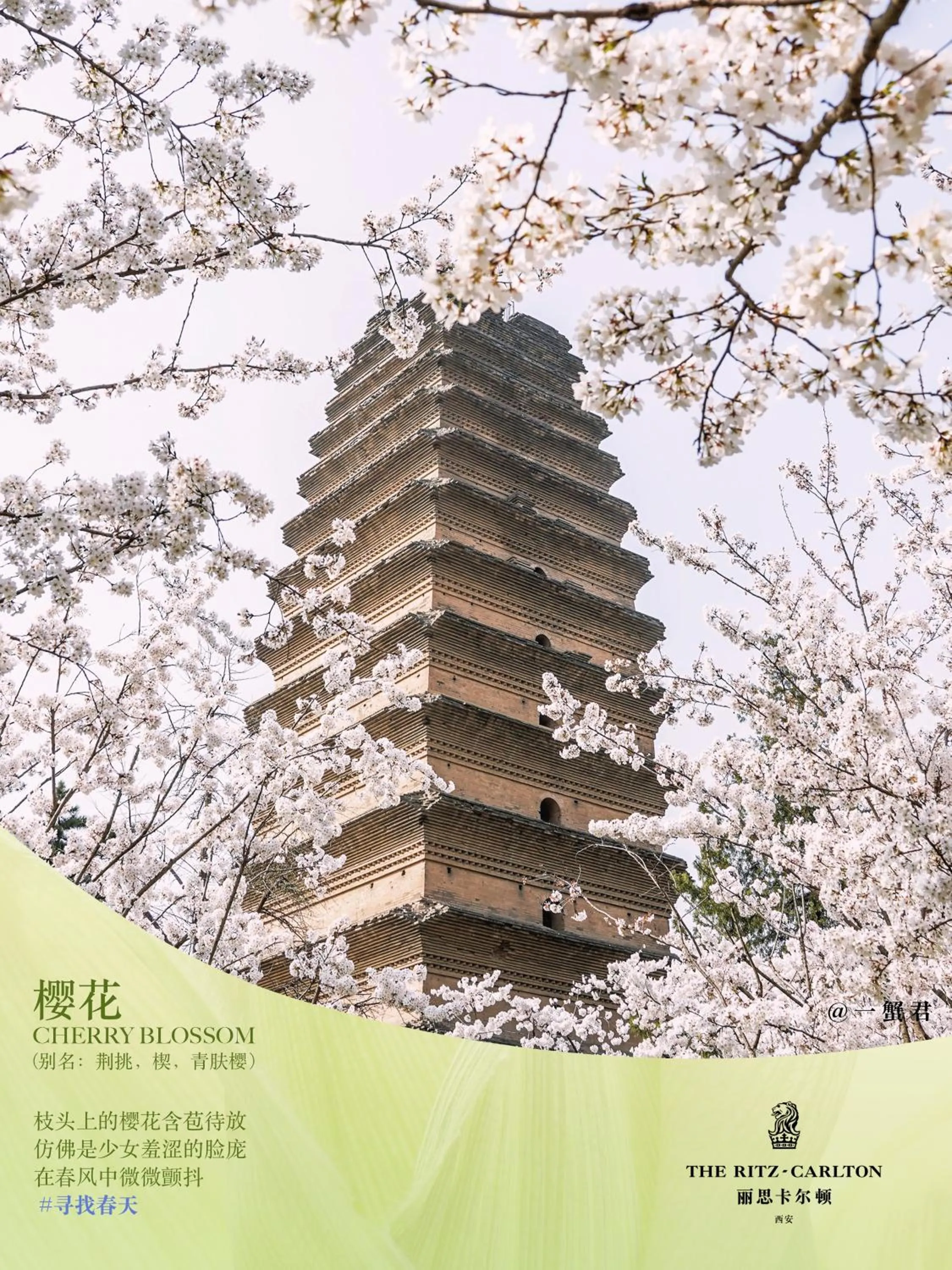 Natural landscape in The Ritz-Carlton, Xi'an