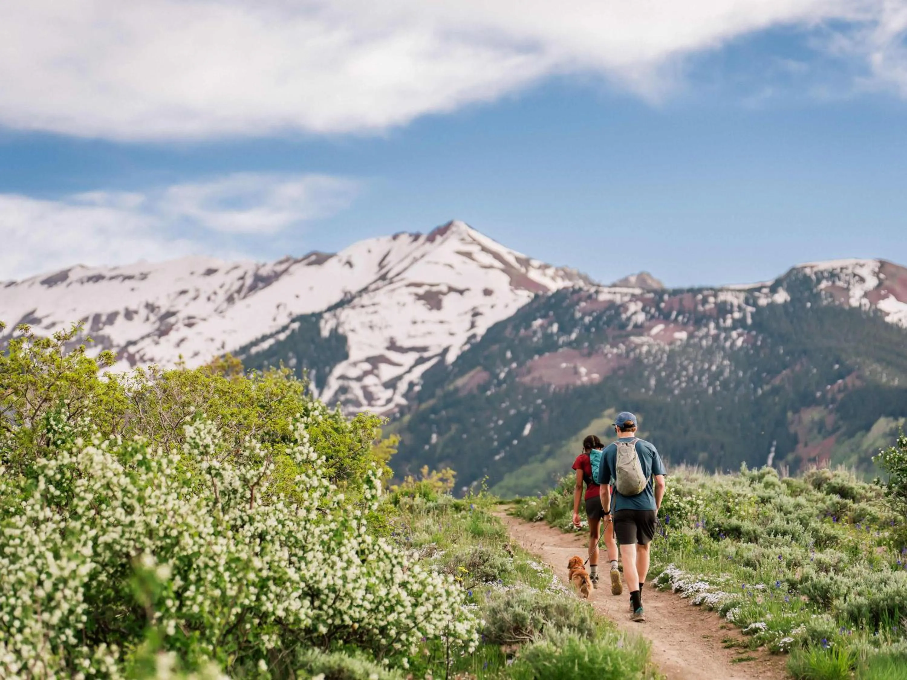 Aspenwood - CoralTree Residence Collection