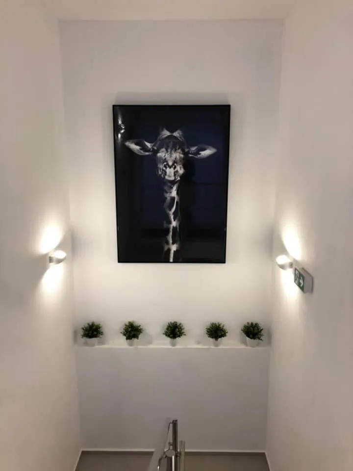 Decorative detail in Penzión Fonte