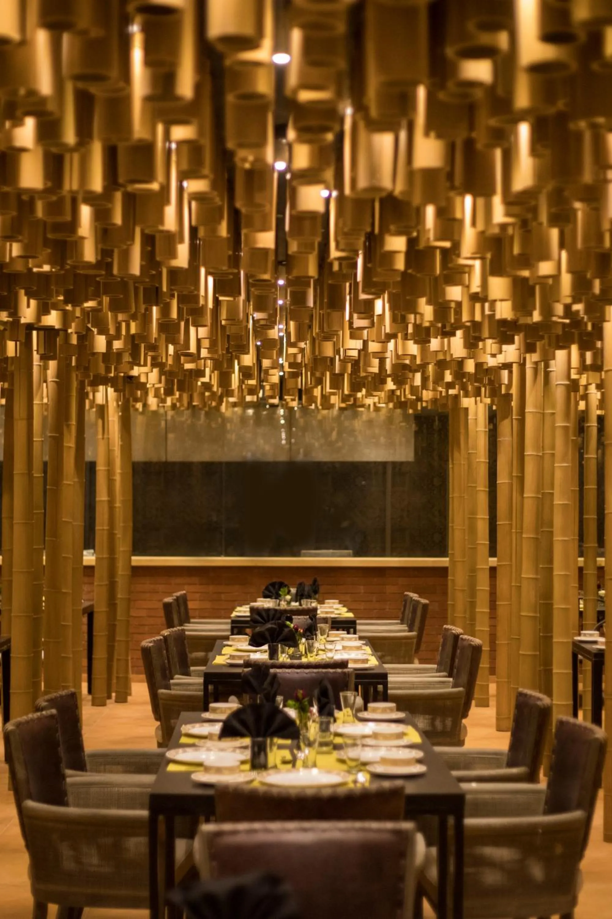 Restaurant/places to eat in Sayaji Rajkot