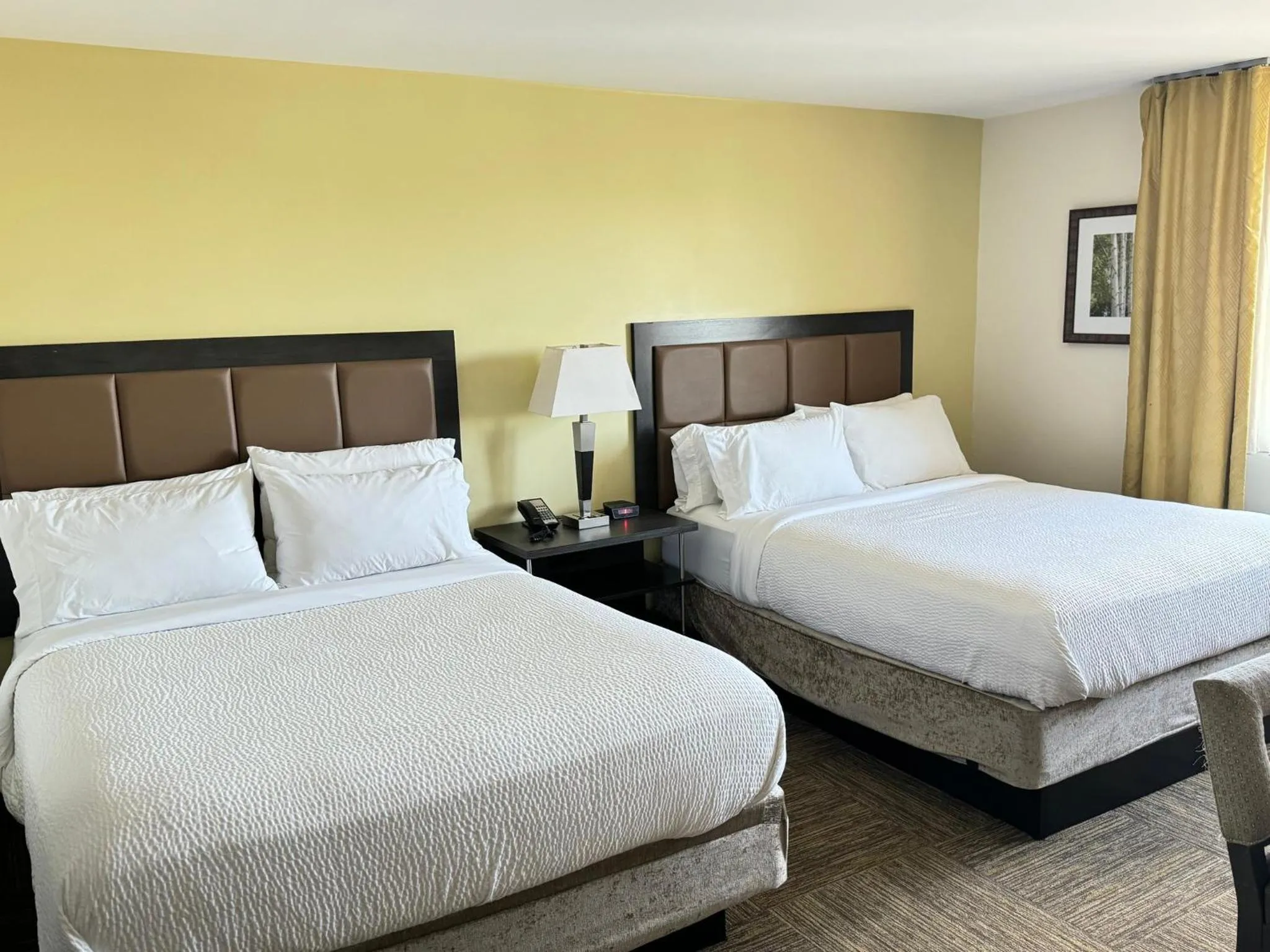 Photo of the whole room, Bed in Candlewood Suites Philadelphia - Airport Area by IHG