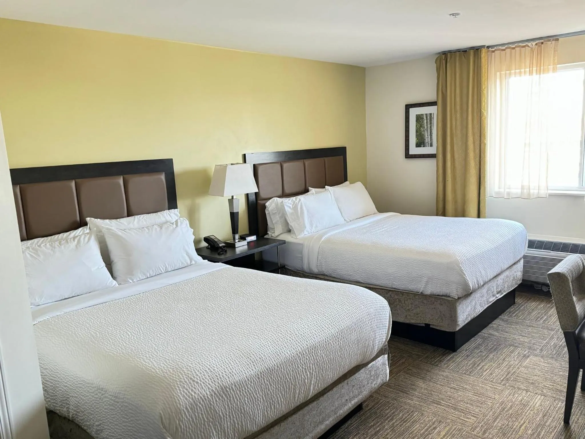 Photo of the whole room, Bed in Candlewood Suites Philadelphia - Airport Area by IHG