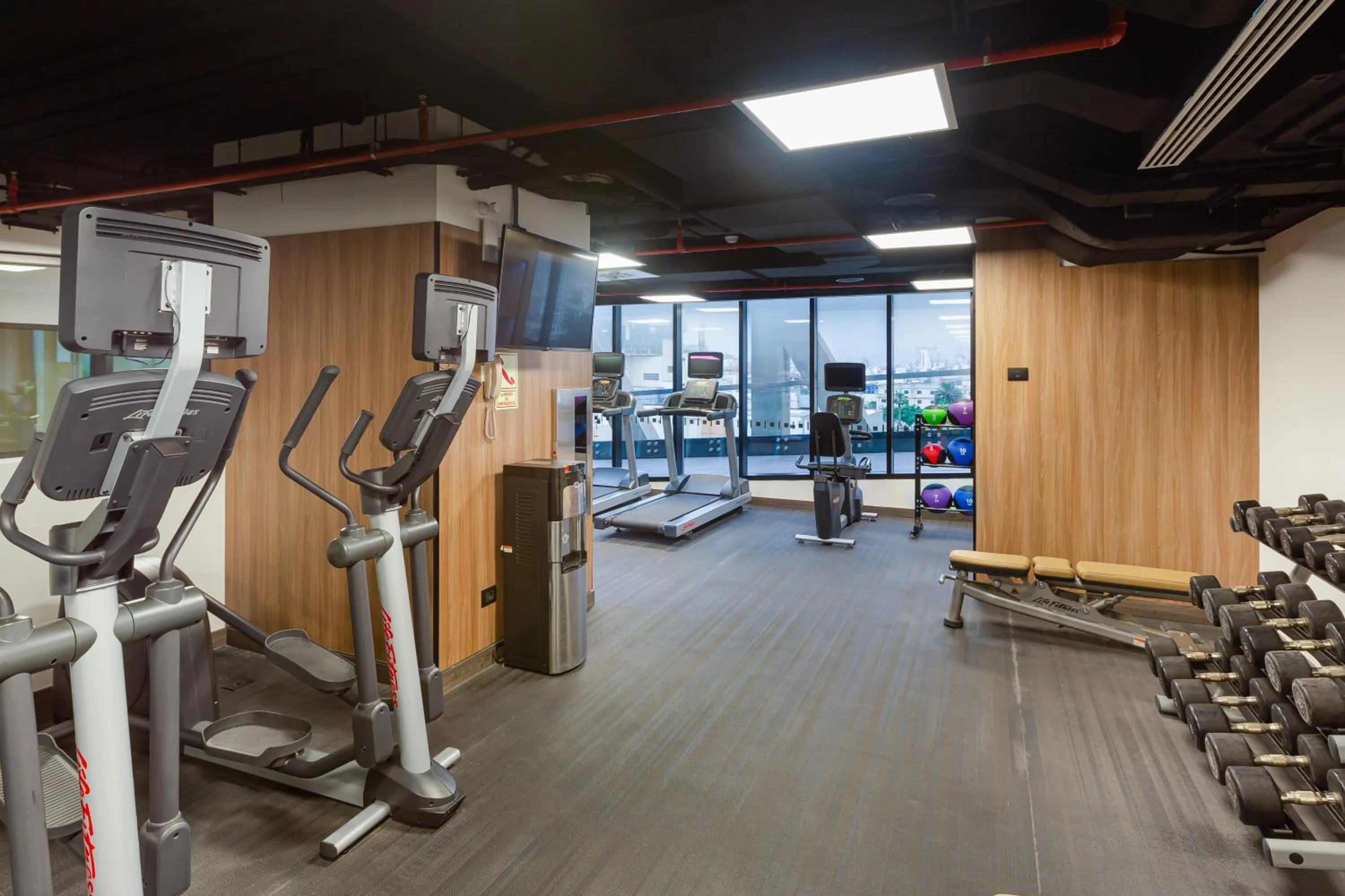Fitness centre/facilities in Holiday Inn - Lima Miraflores by IHG