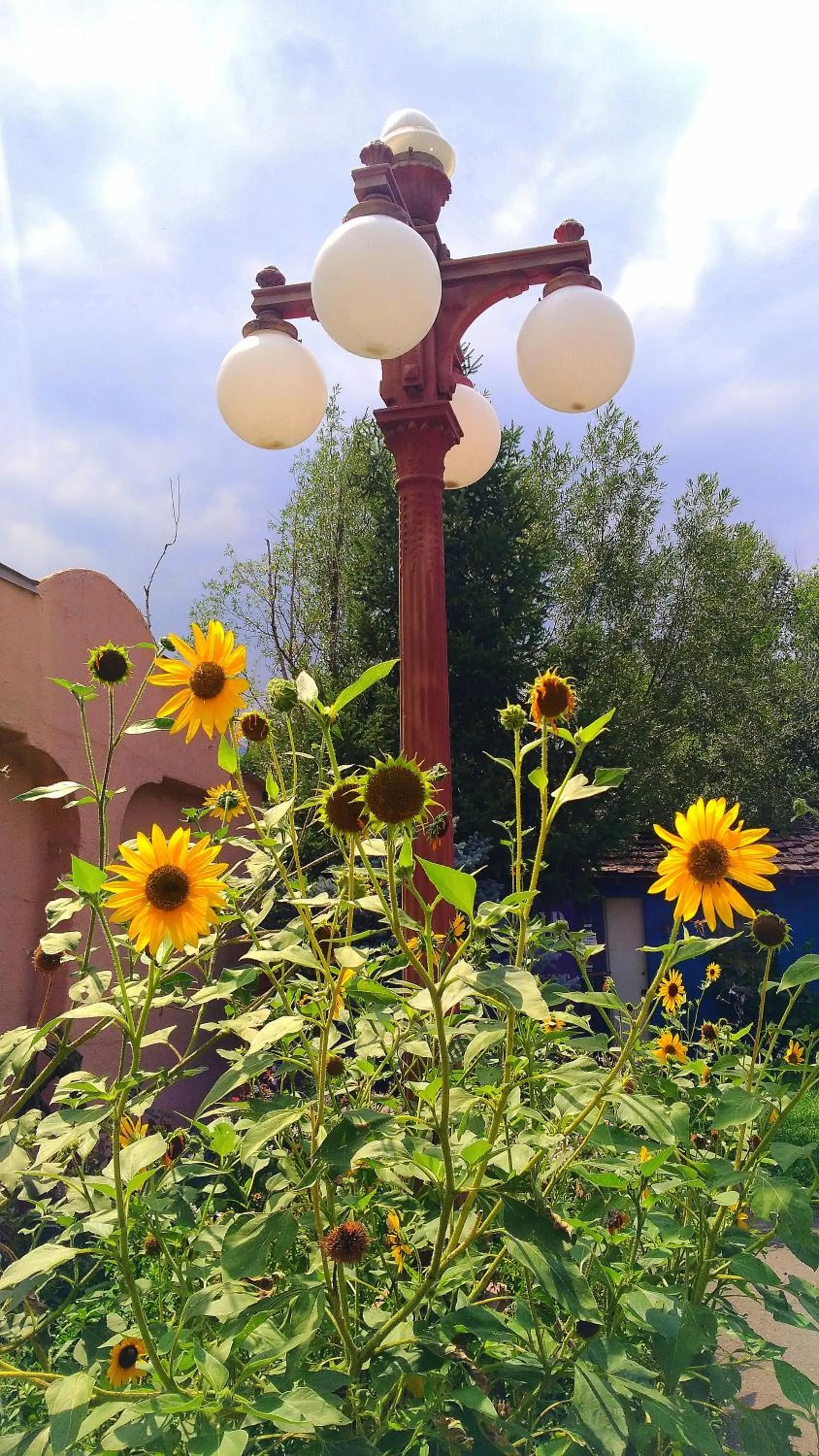 Garden in Buffalo Lodge Bicycle Resort - Amazing access to local trails & the Garden