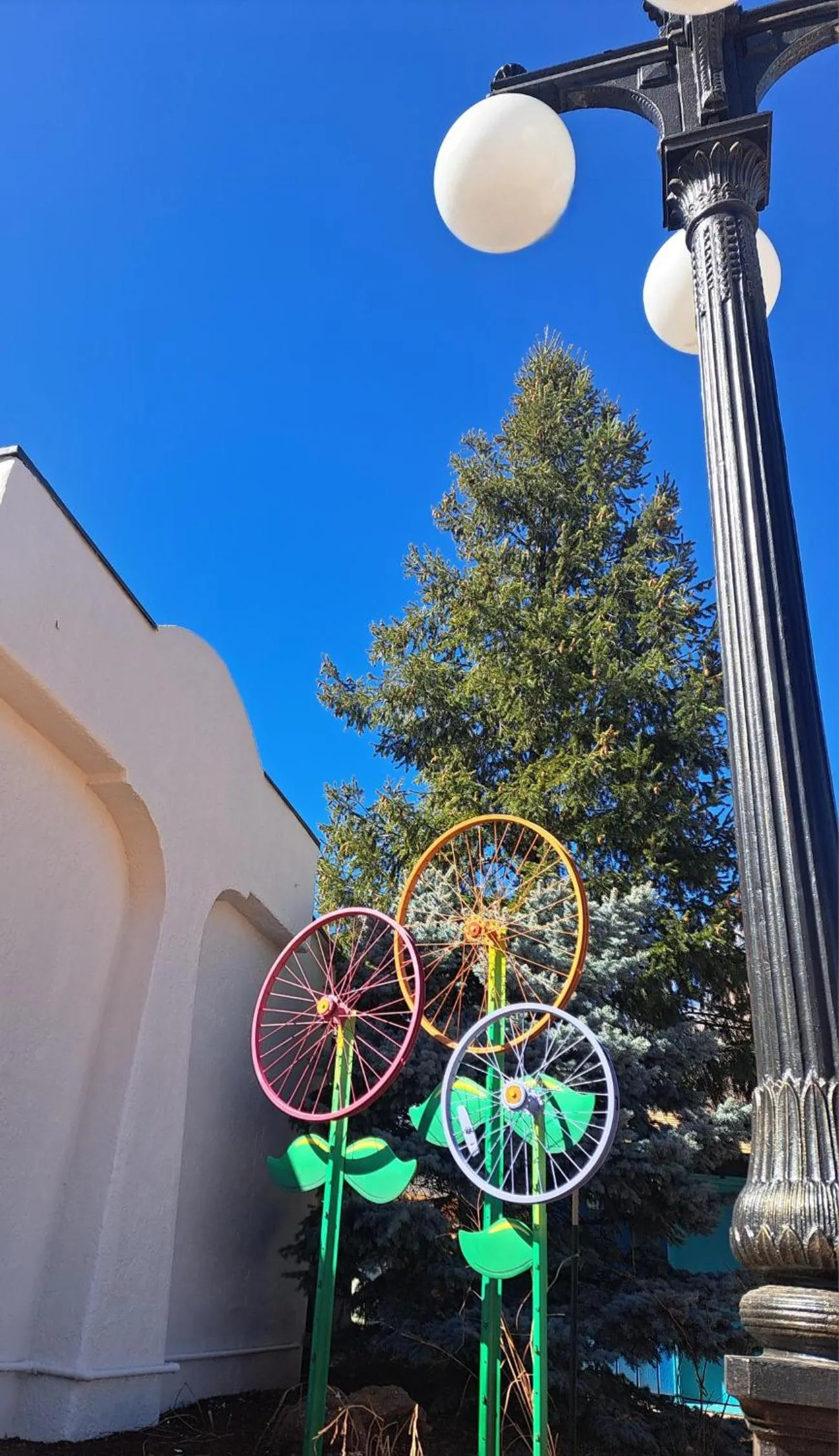 Garden in Buffalo Lodge Bicycle Resort - Amazing access to local trails & the Garden