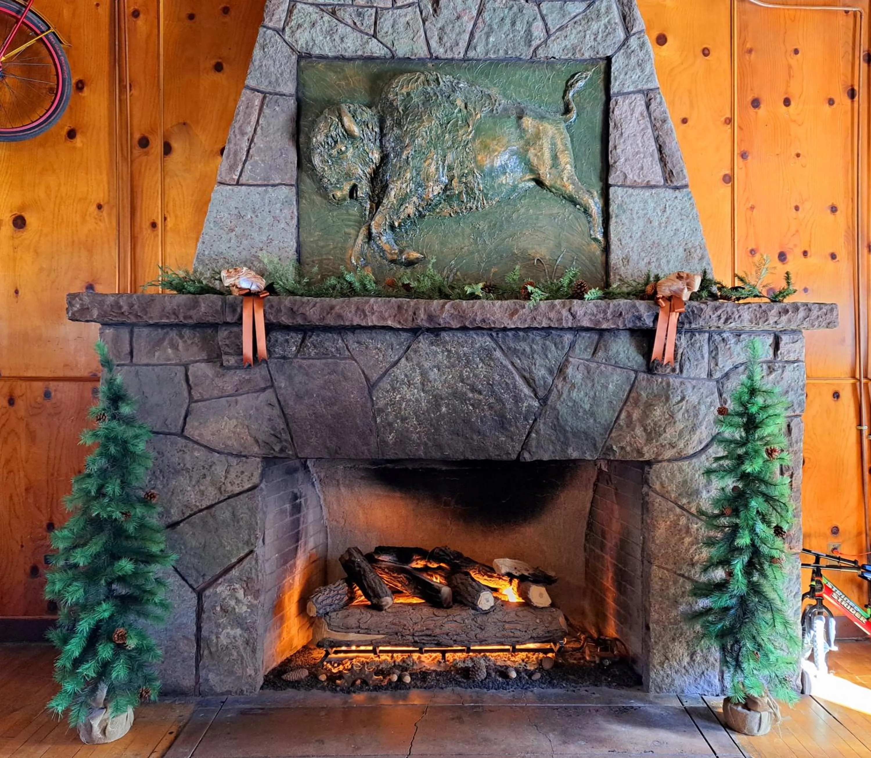 flat iron in Buffalo Lodge Bicycle Resort - Amazing access to local trails & the Garden